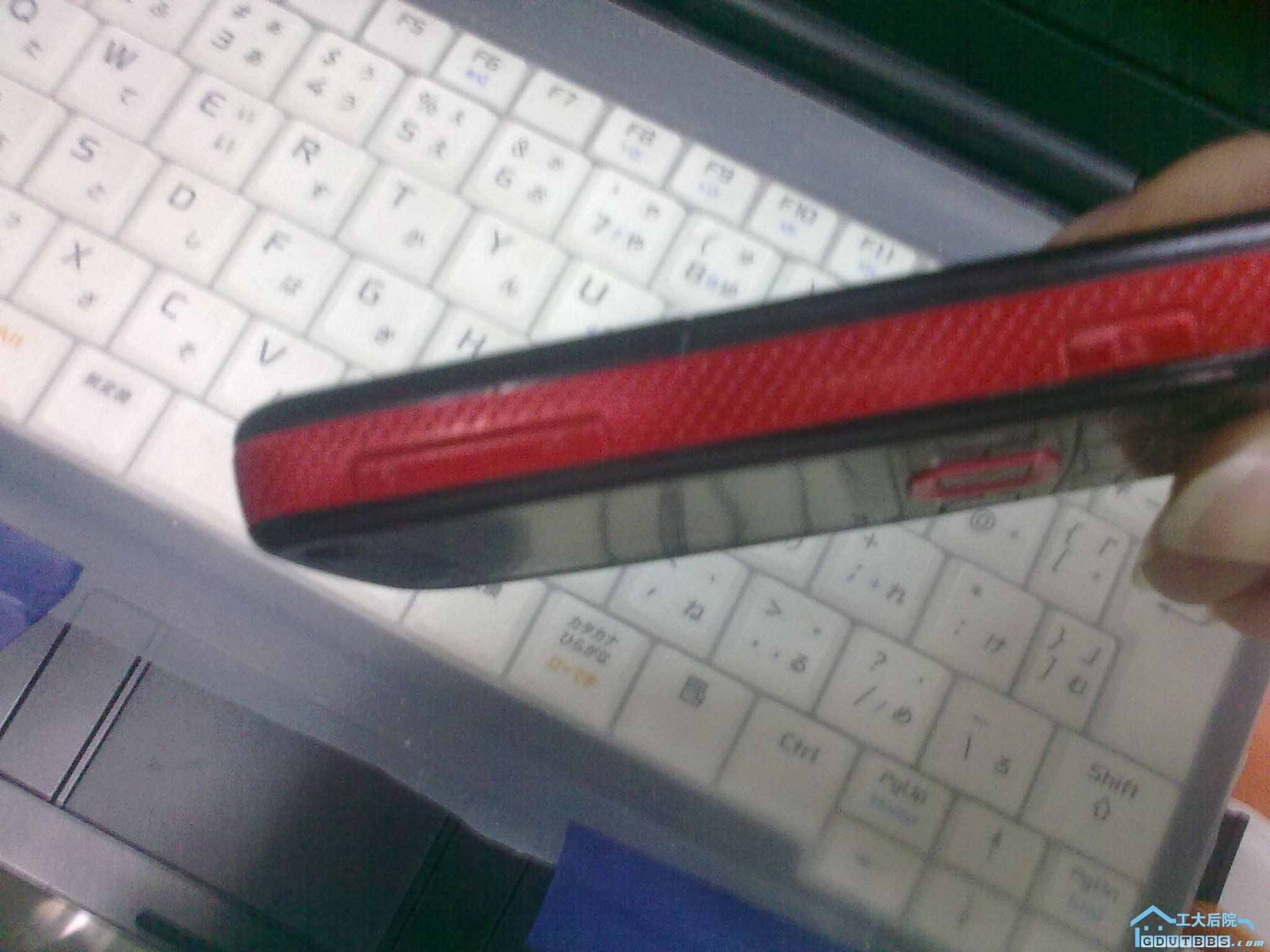 20101130097.jpg