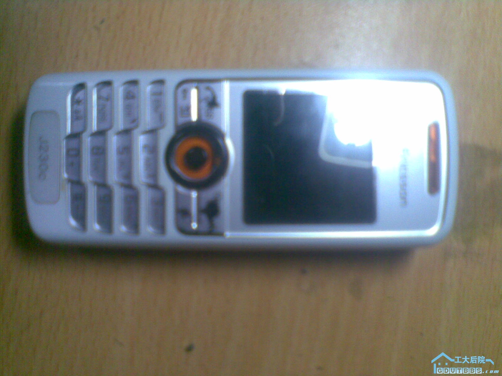 20101203.jpg