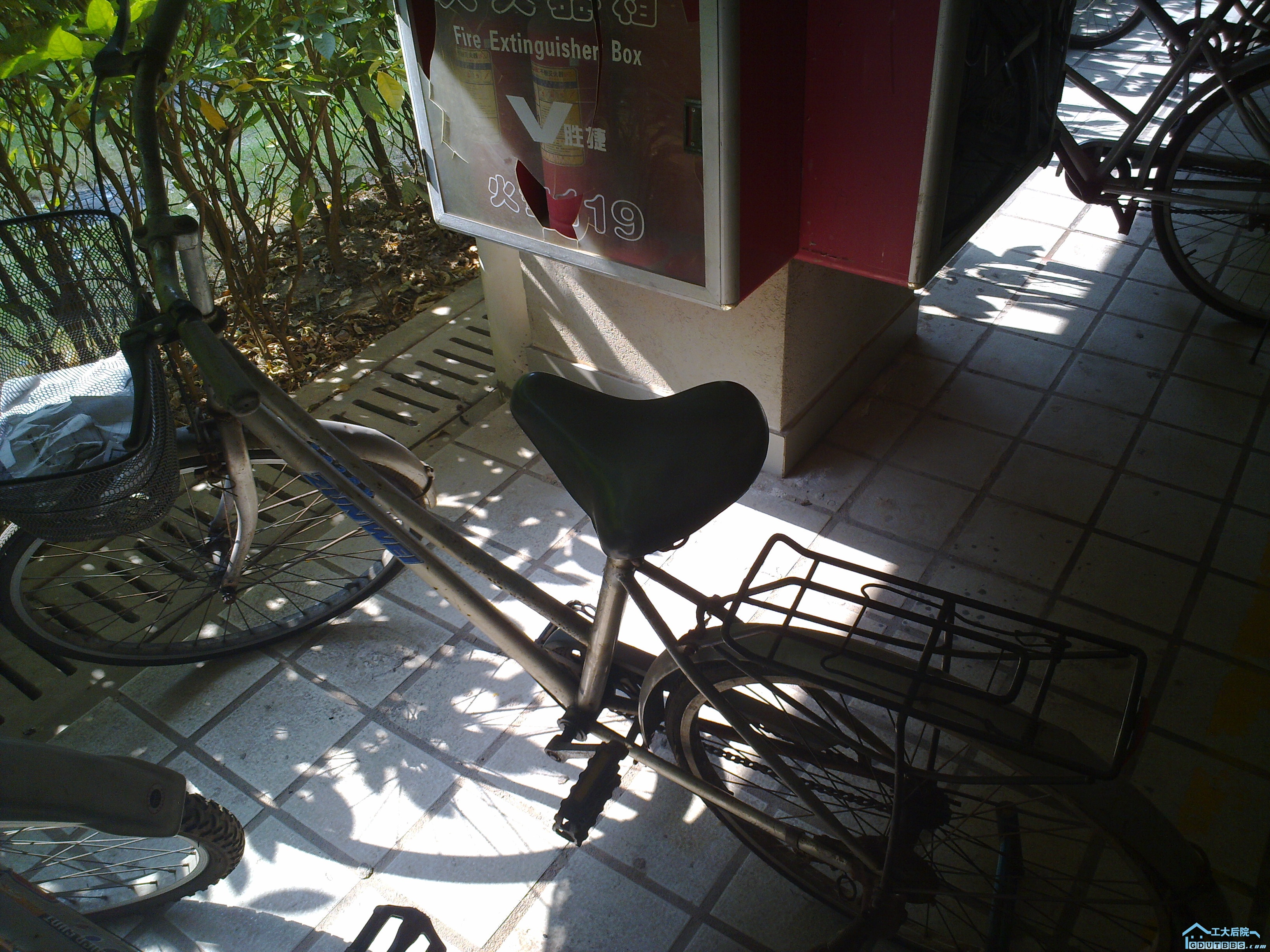 20101204410.jpg