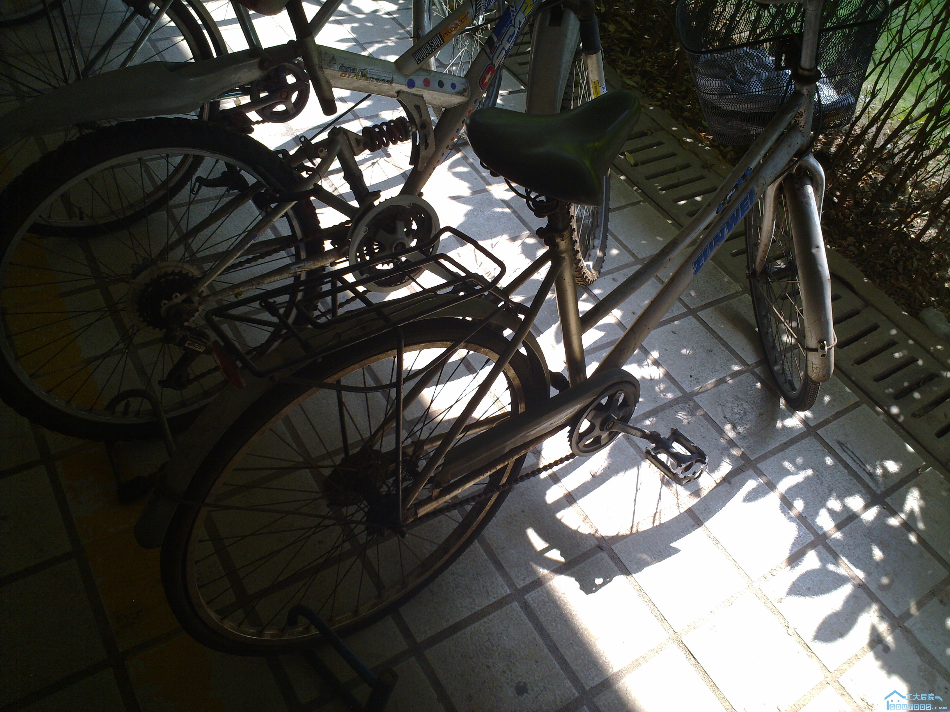 20101204411.jpg