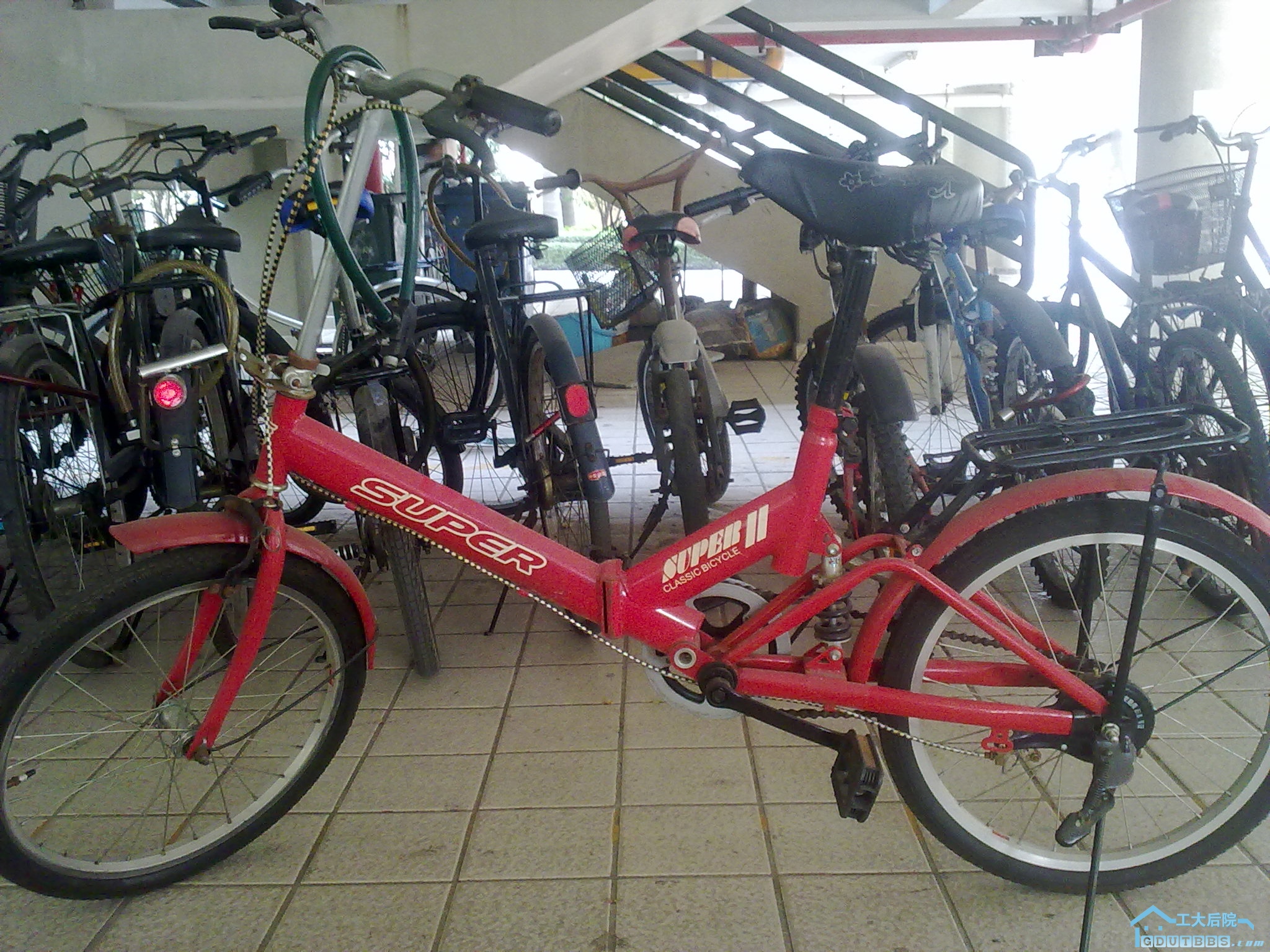 20101207901.jpg