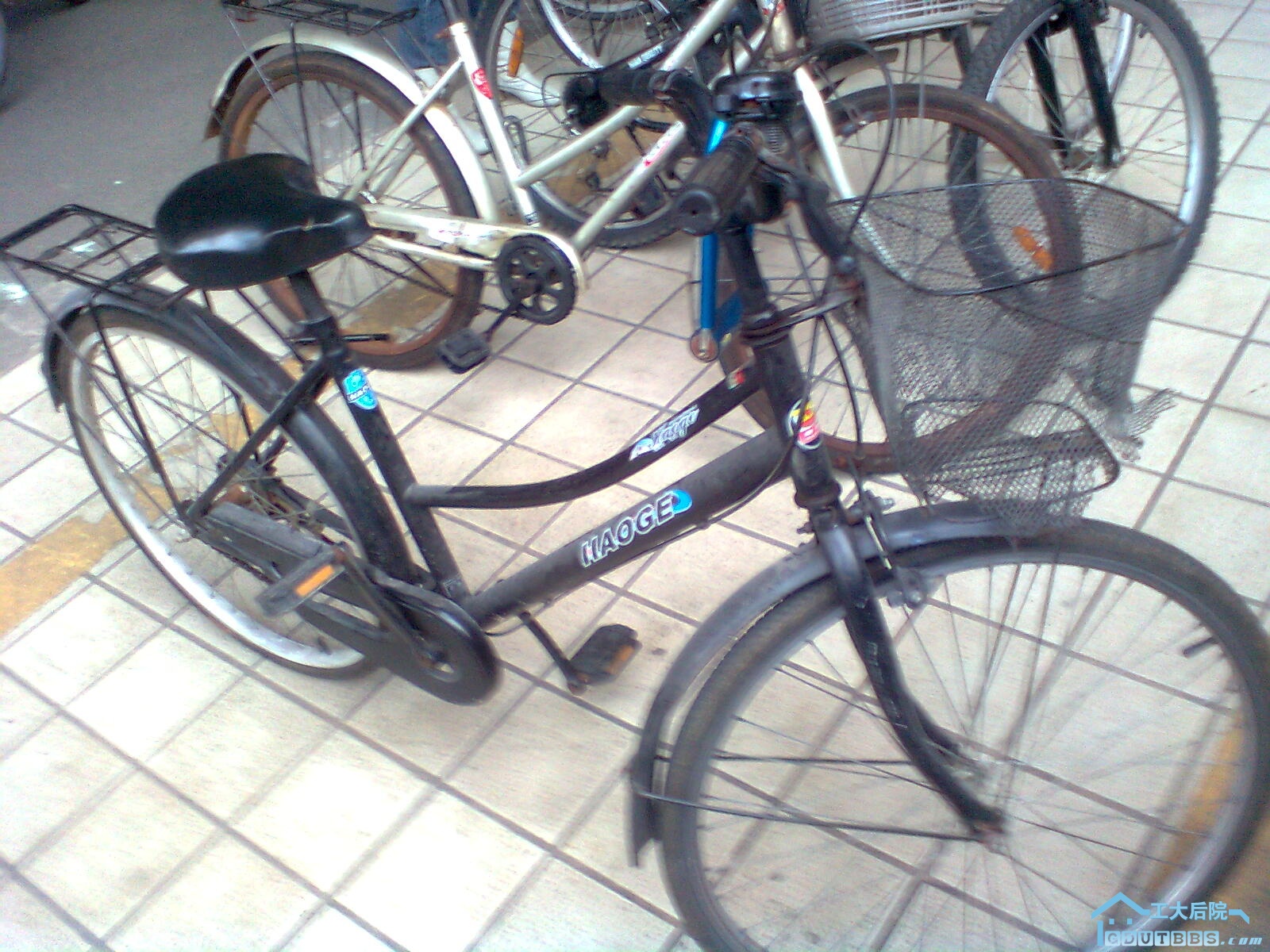 图像0099.jpg