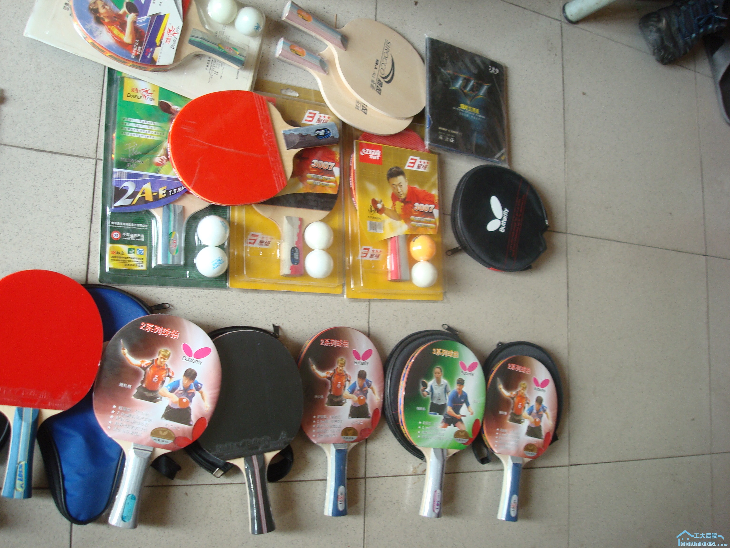 DSC06149.JPG
