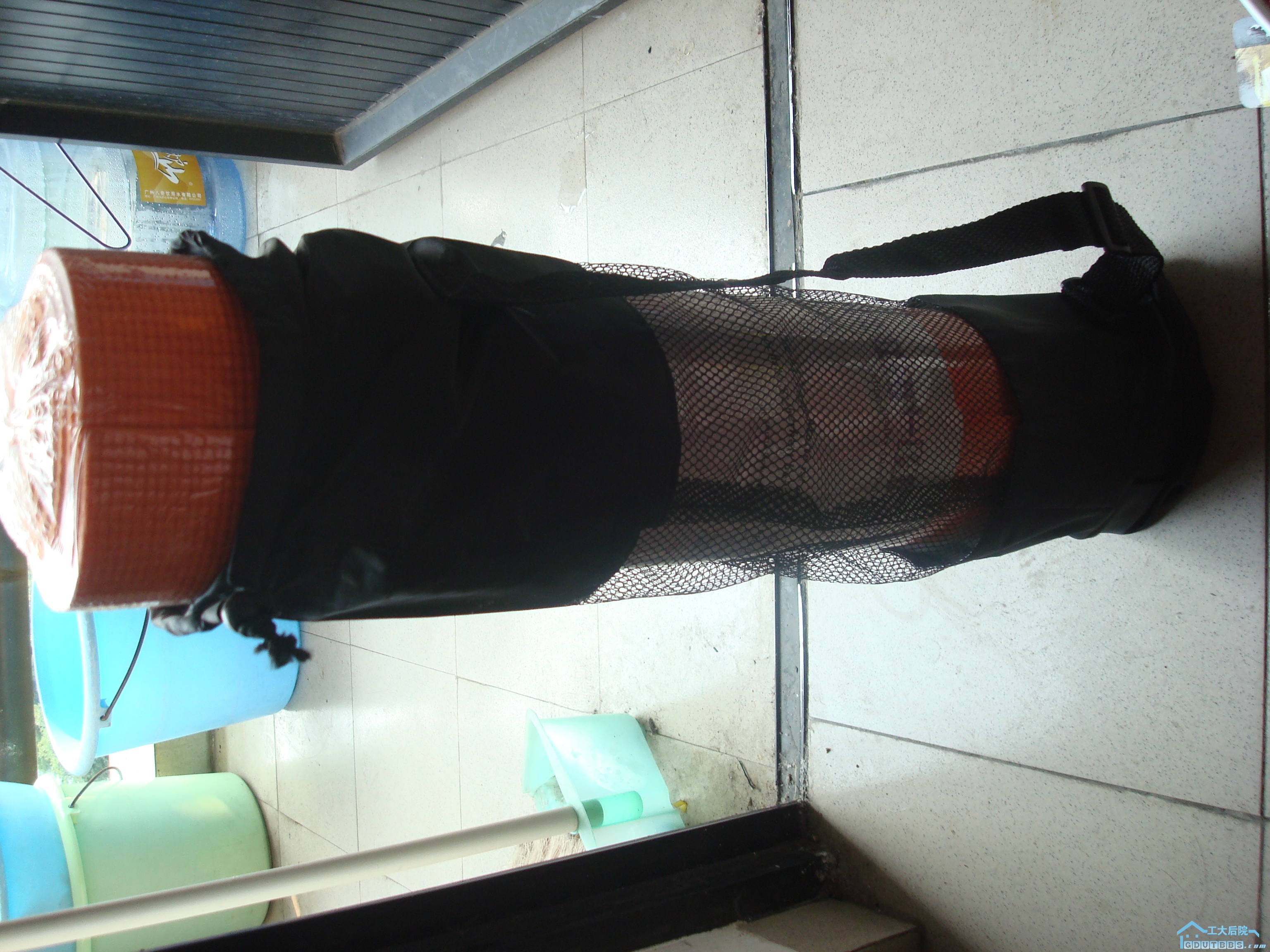 DSC06158.JPG