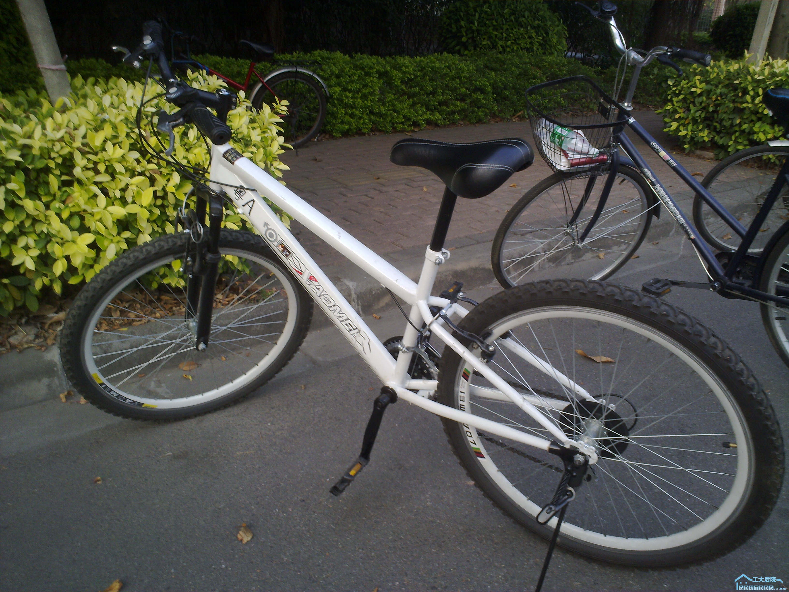 201012061092.jpg
