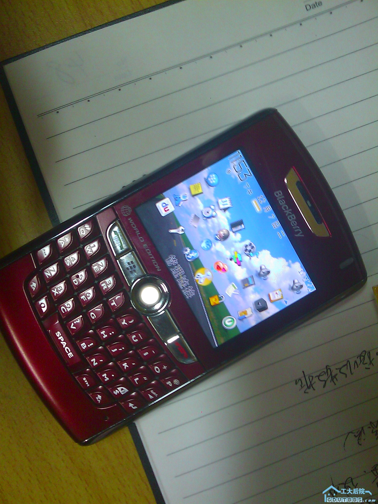 8830.jpg