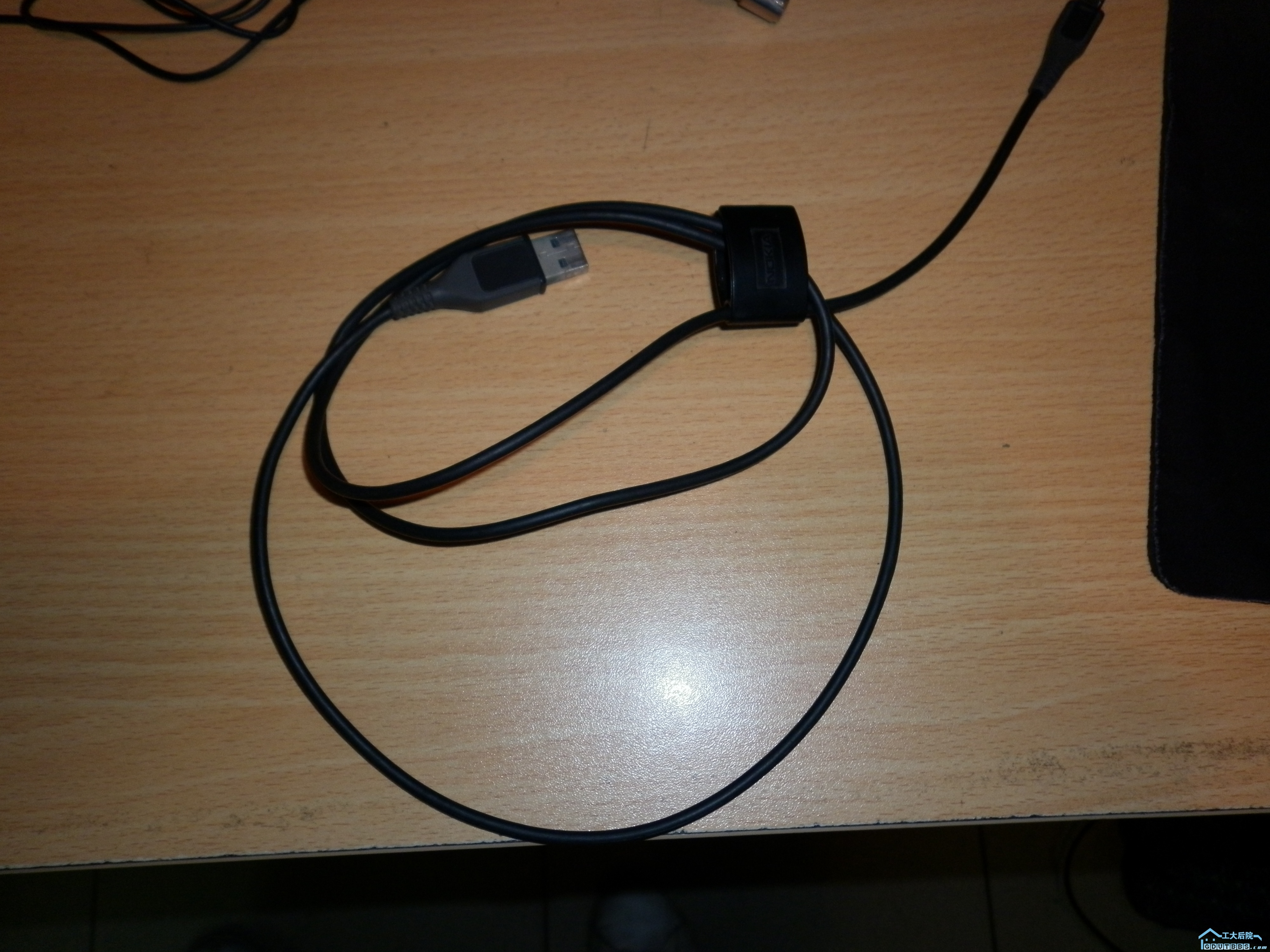 P1000431.JPG