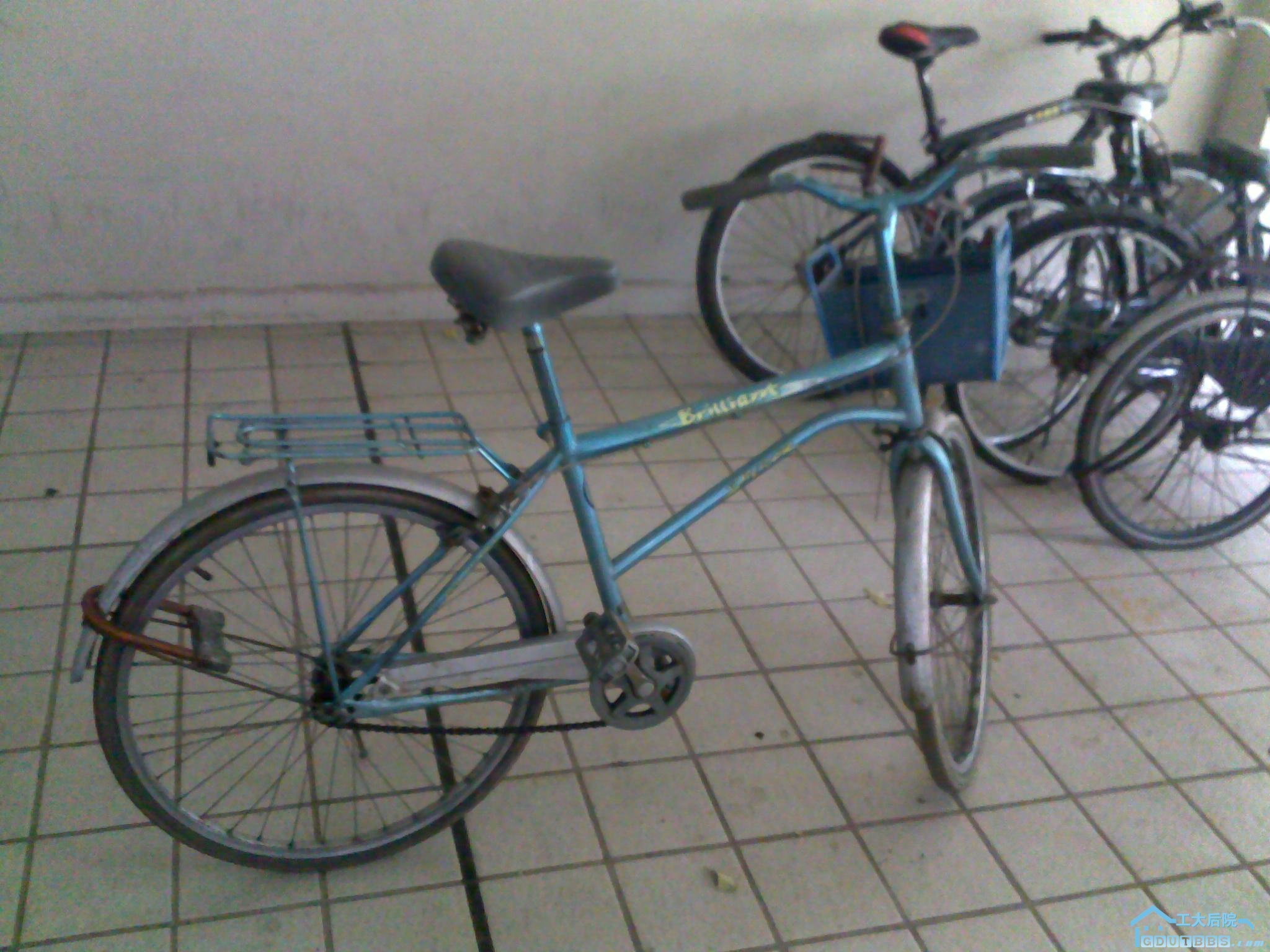 20101214240.jpg
