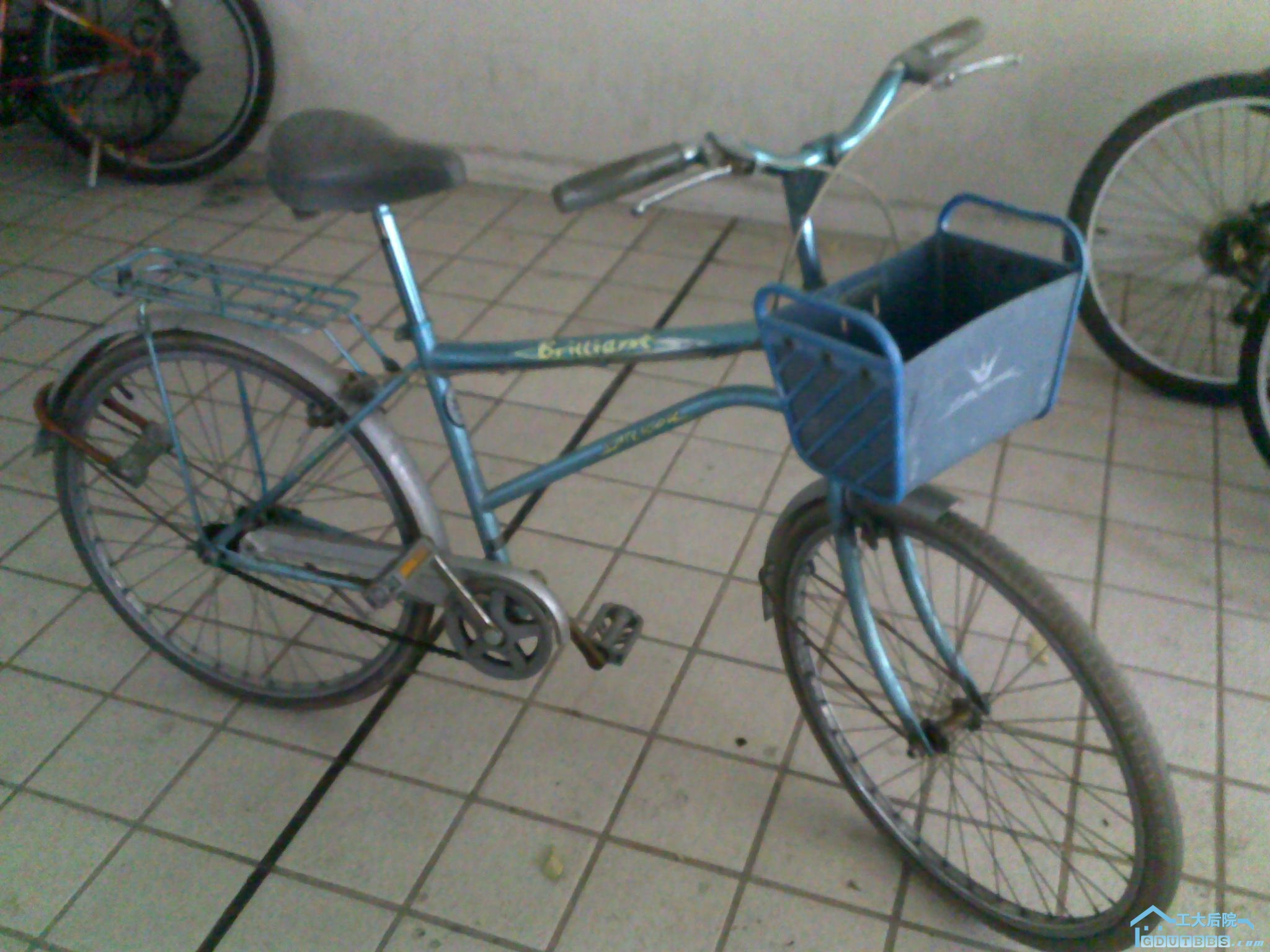 20101214241.jpg