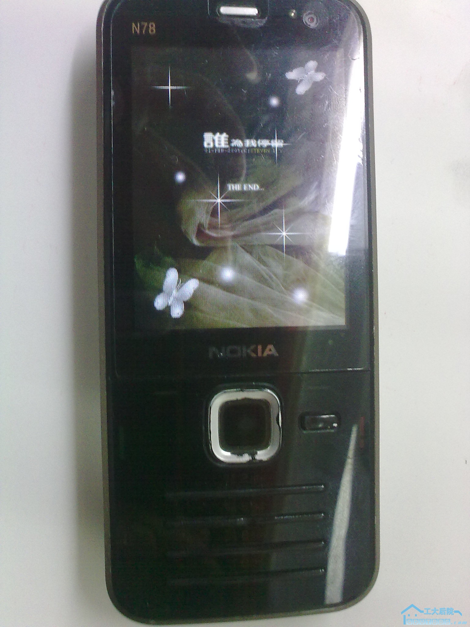 20101210194.jpg