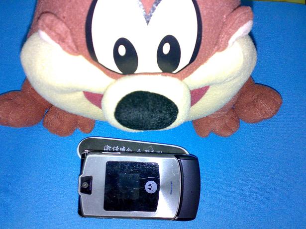 20101227021.jpg