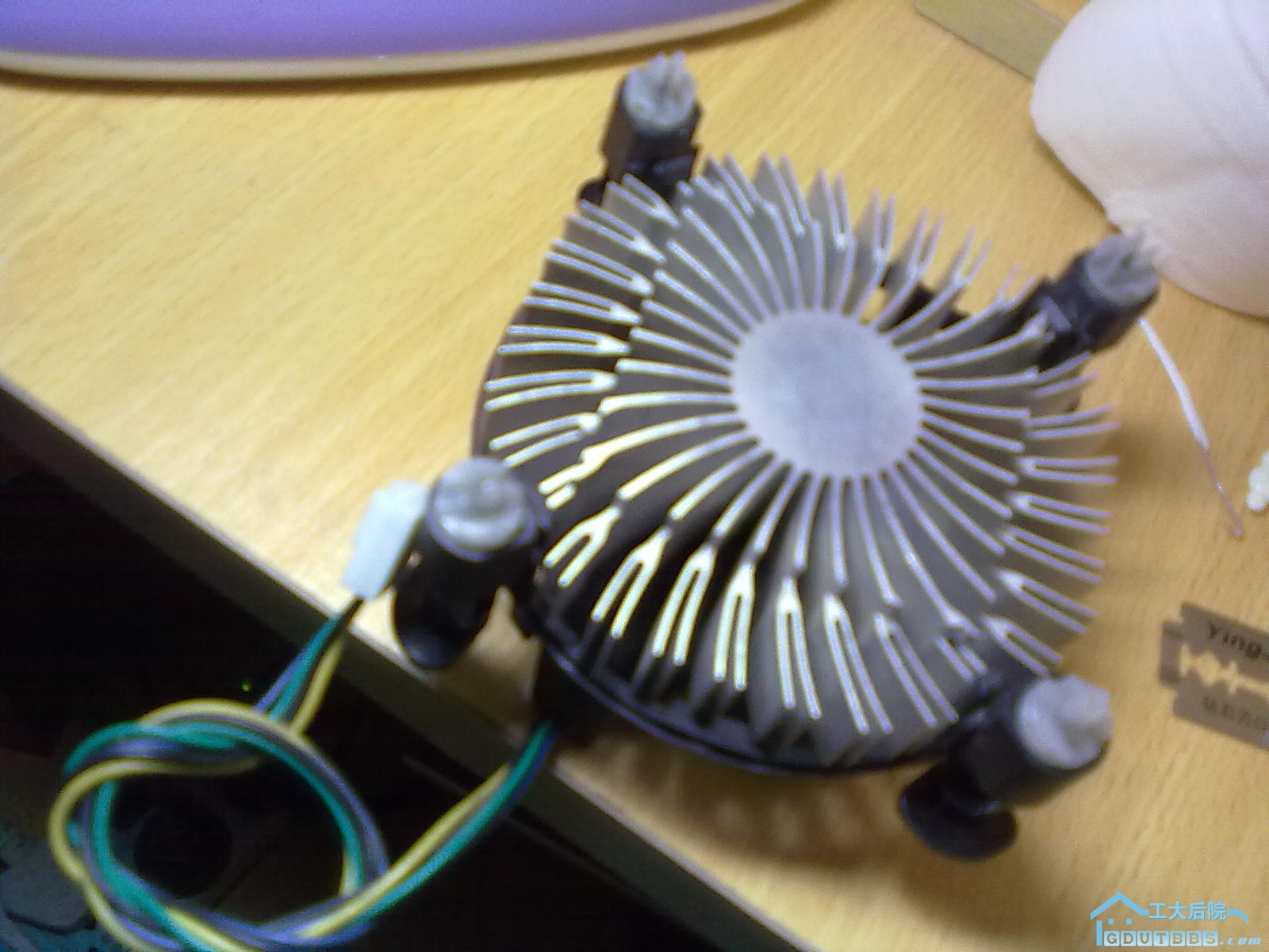 20110102106.jpg