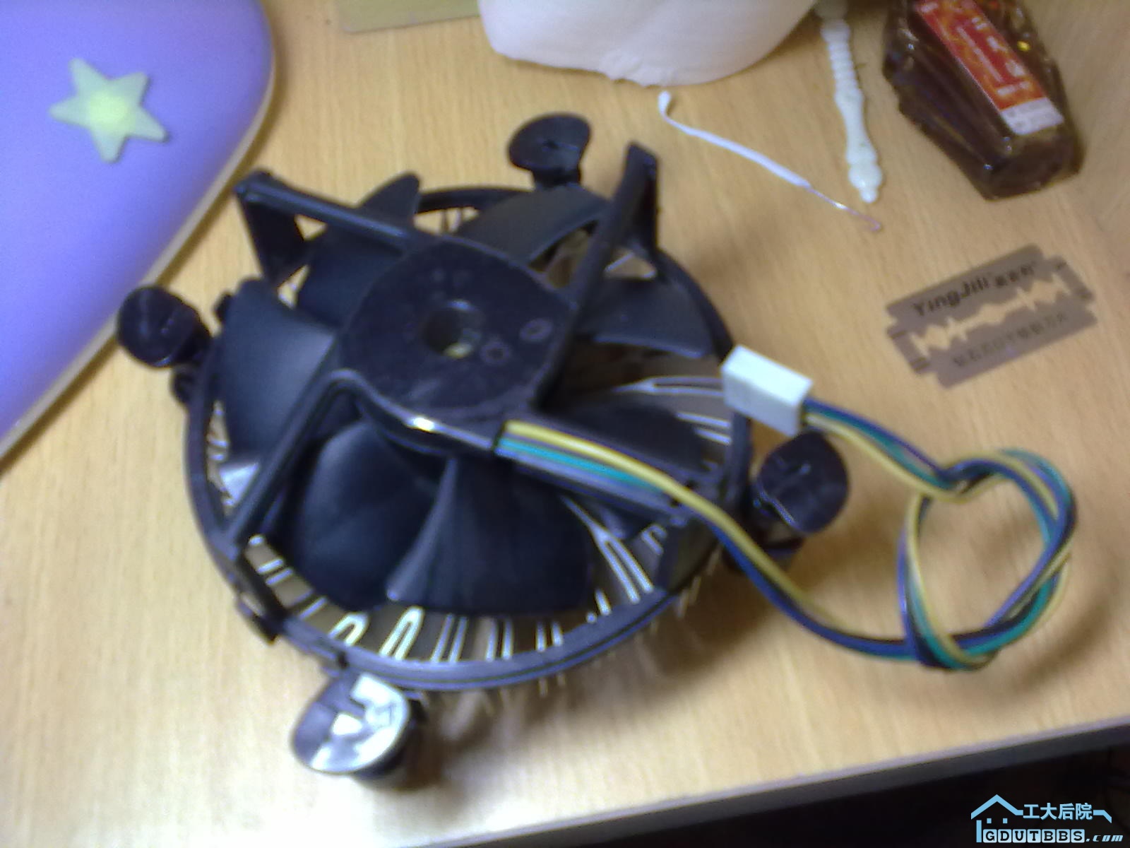 20110102105.jpg