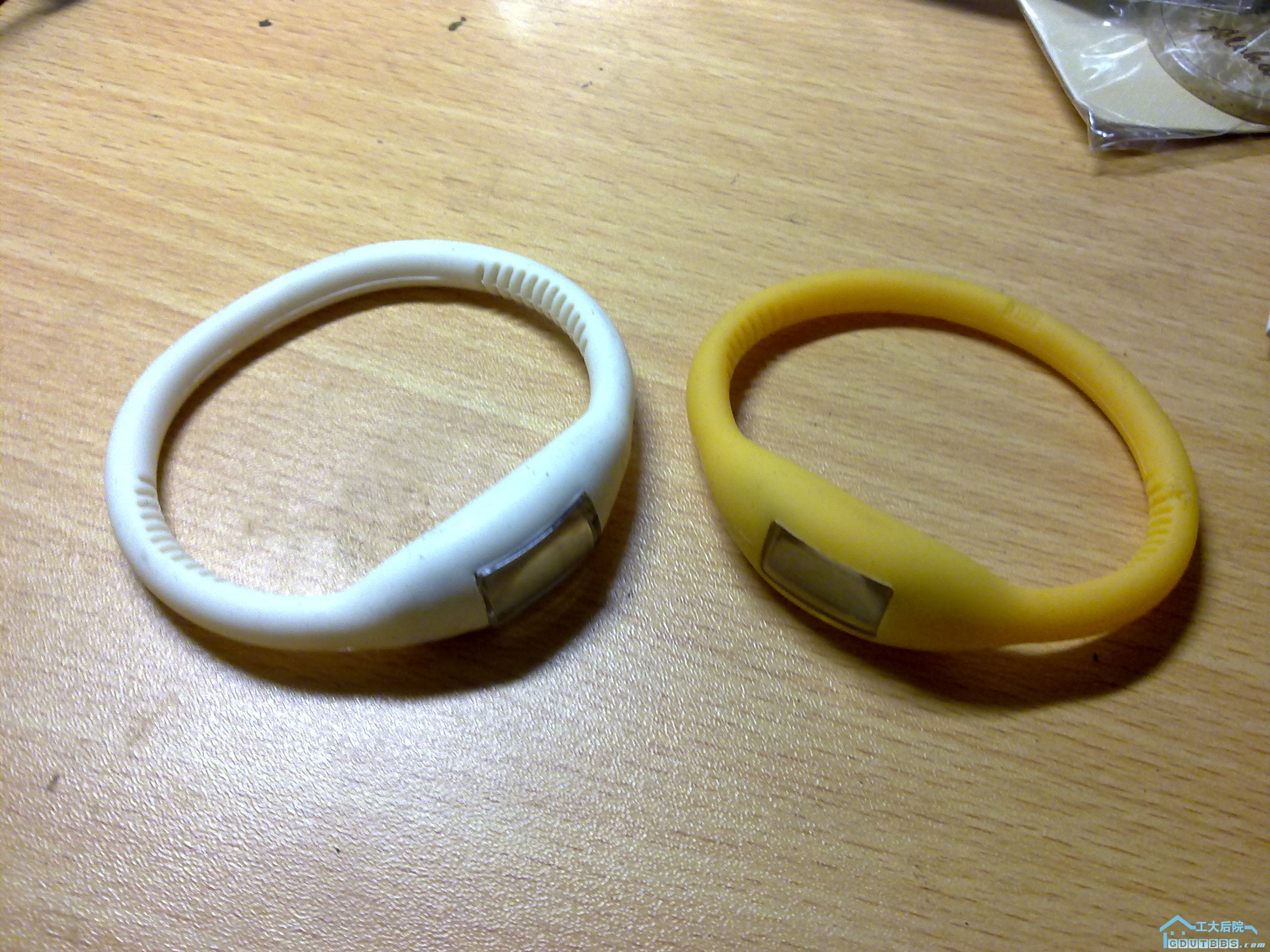20110108231.jpg