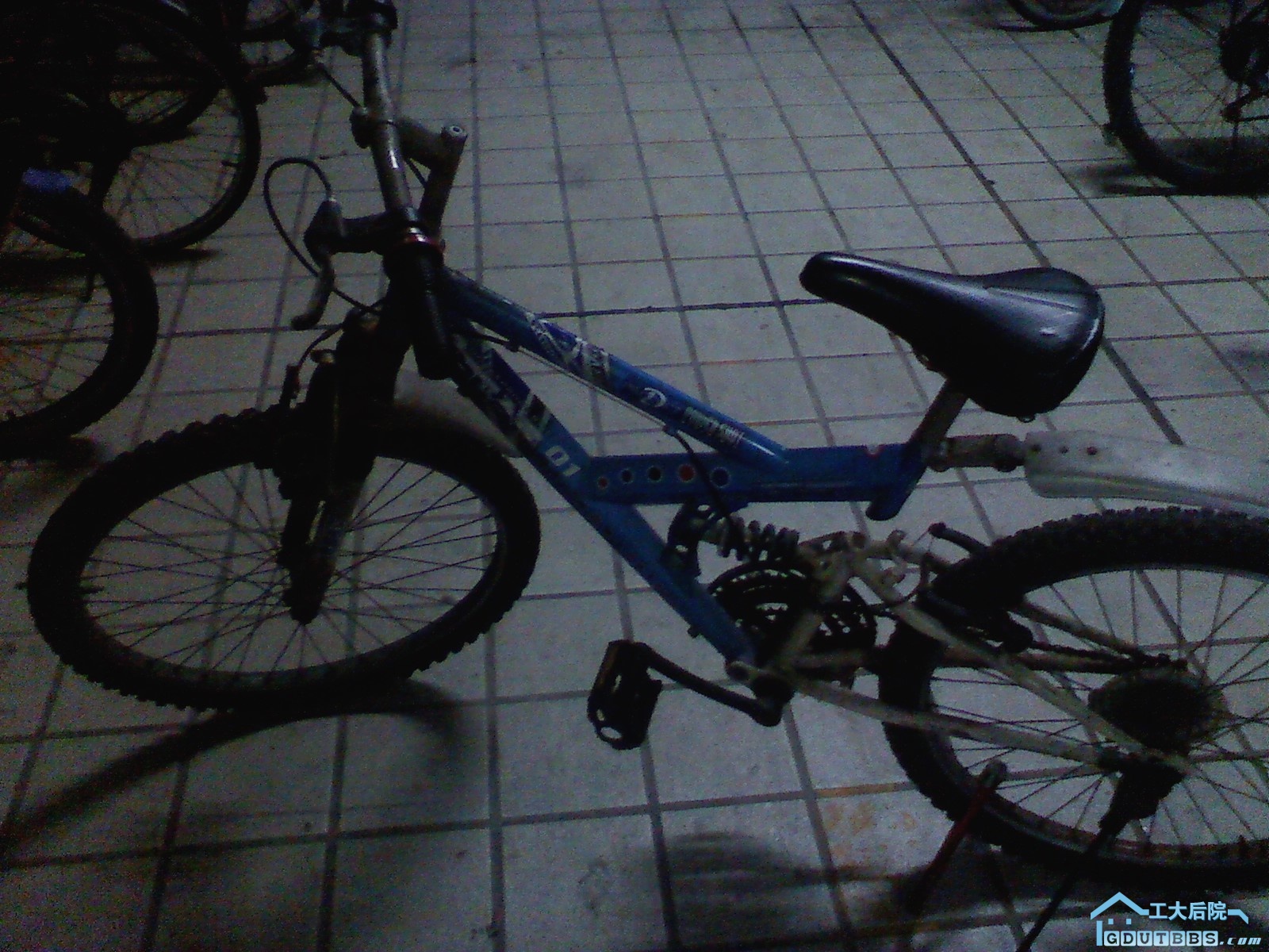 P0601110000.jpg