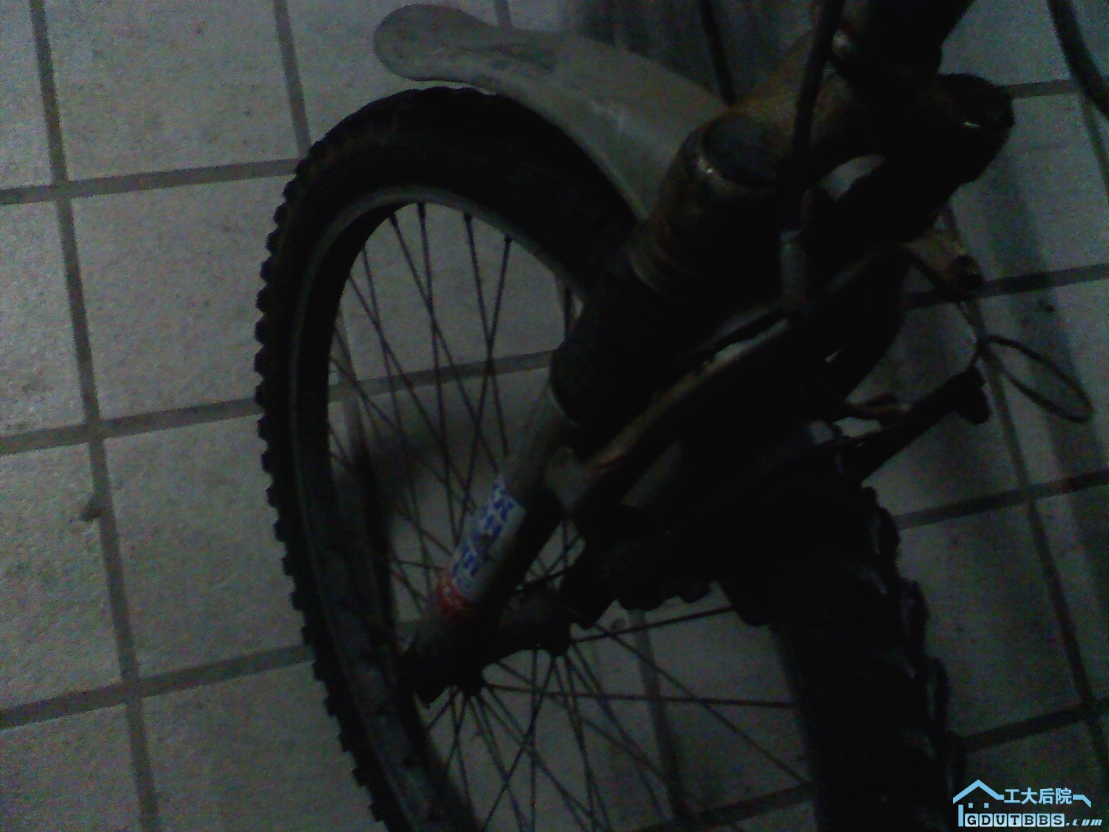 P0601110005.jpg