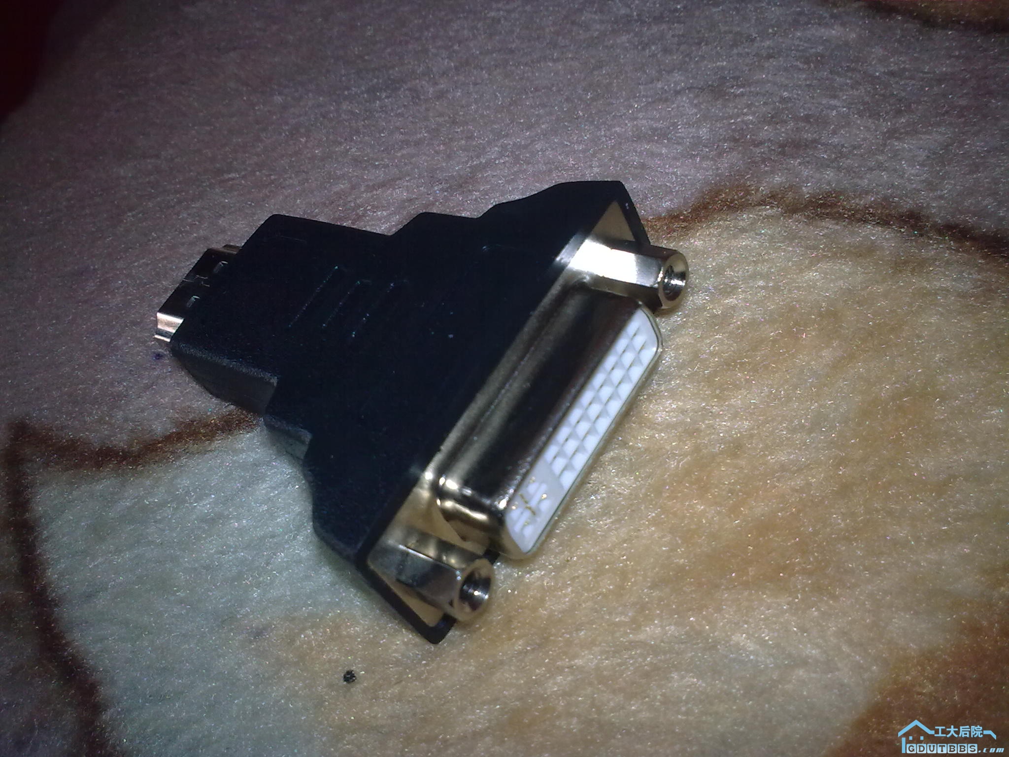 20110114_012.jpg