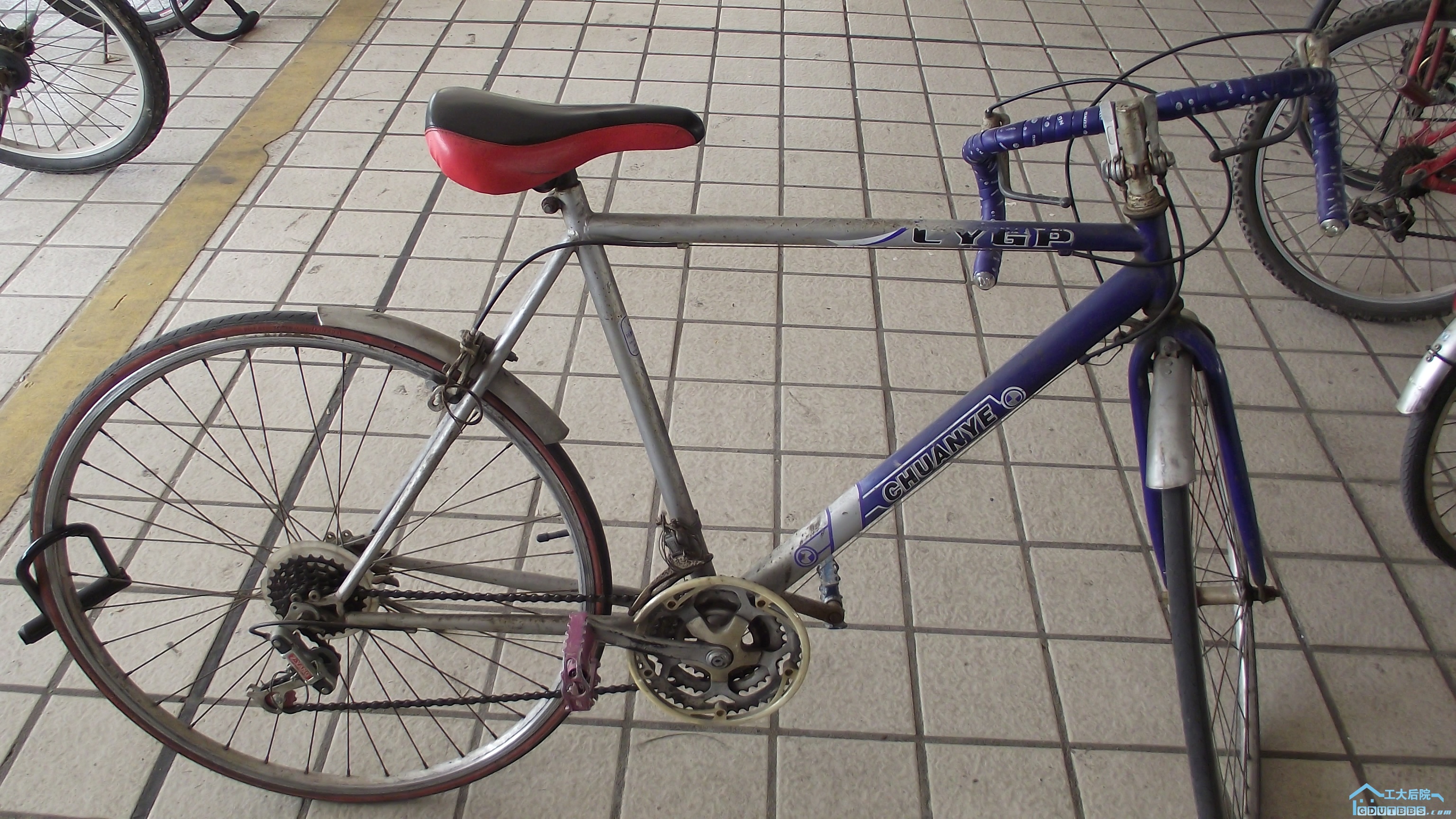 DSCF1064.JPG