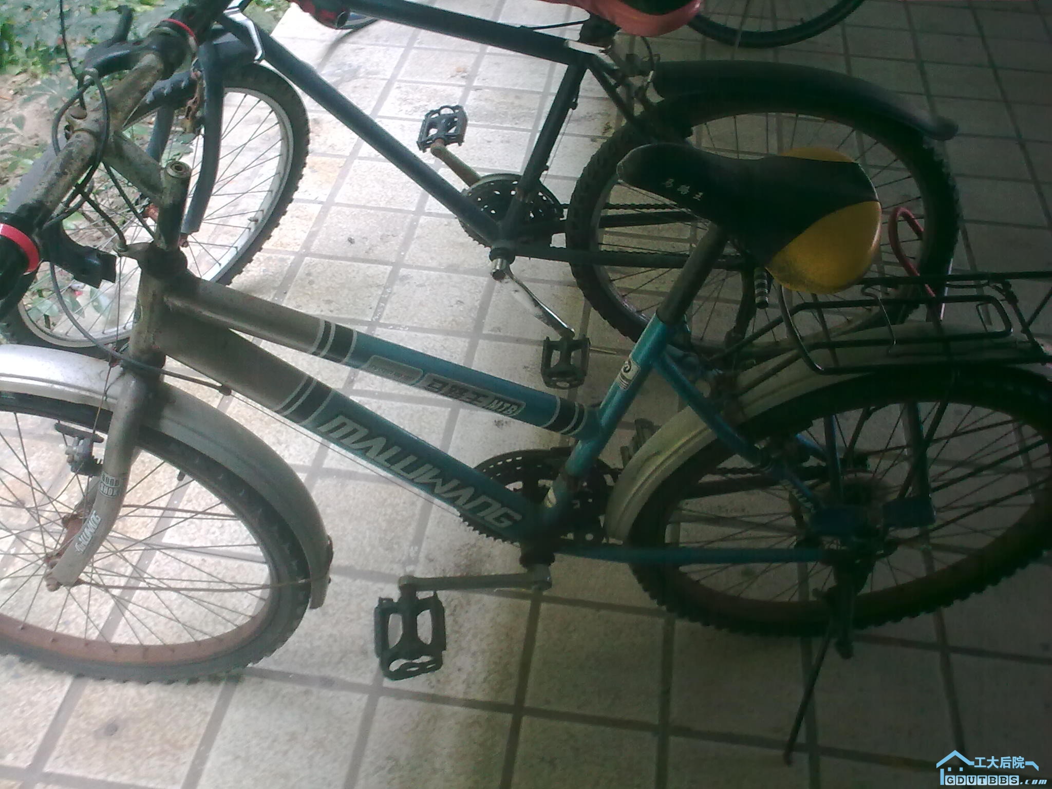 20110121_006.jpg