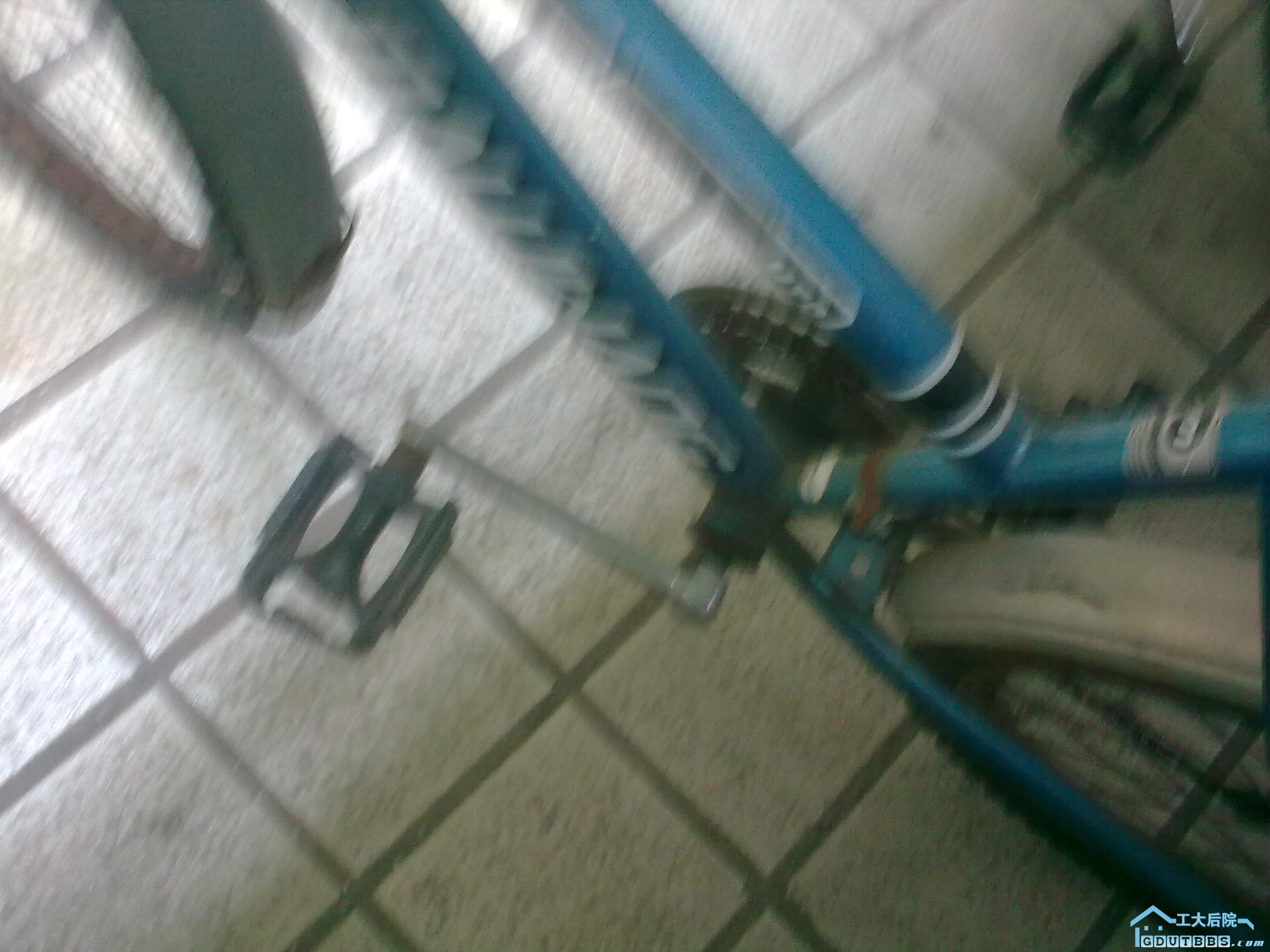 20110121_005.jpg