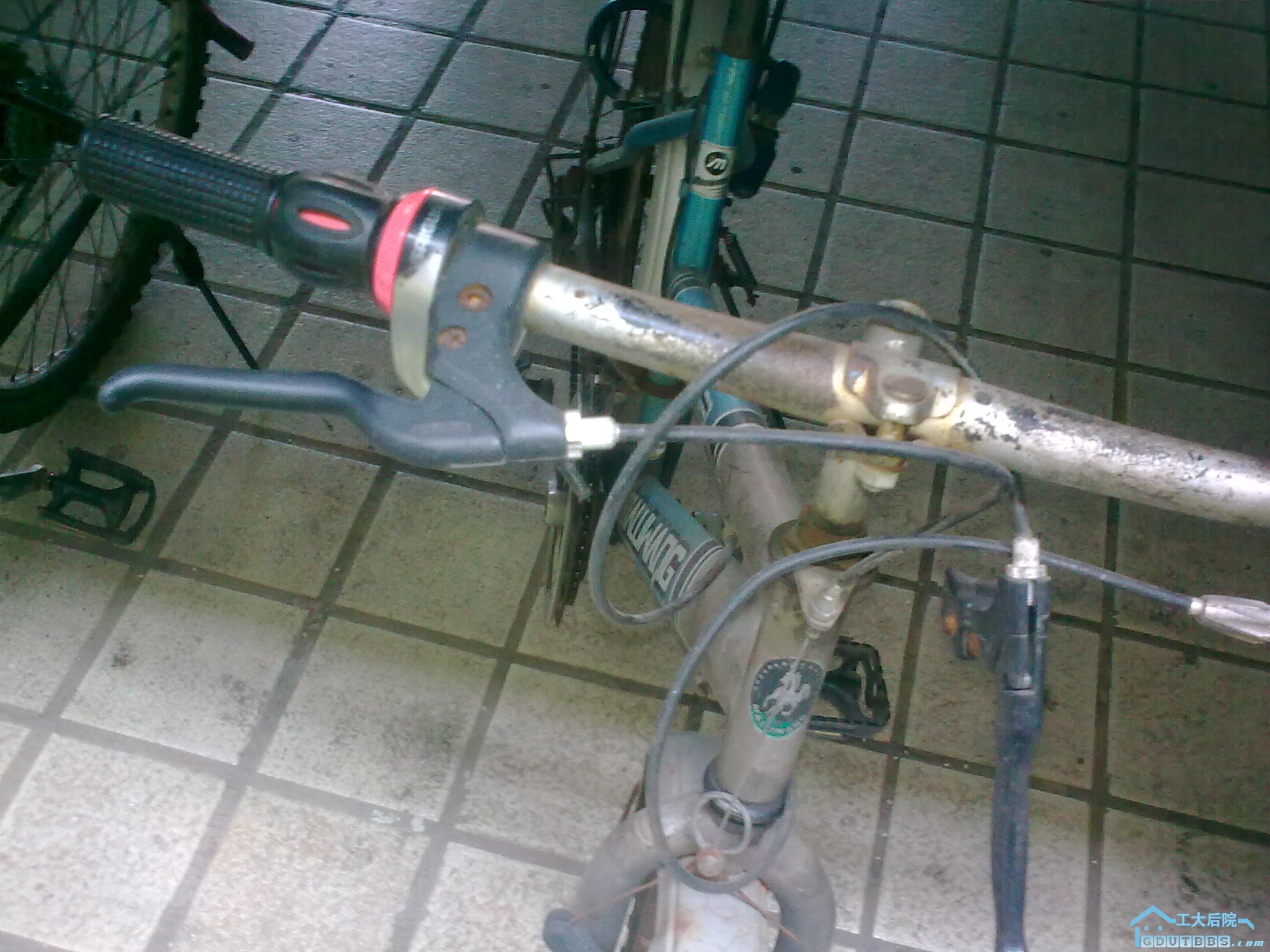 20110121_003.jpg