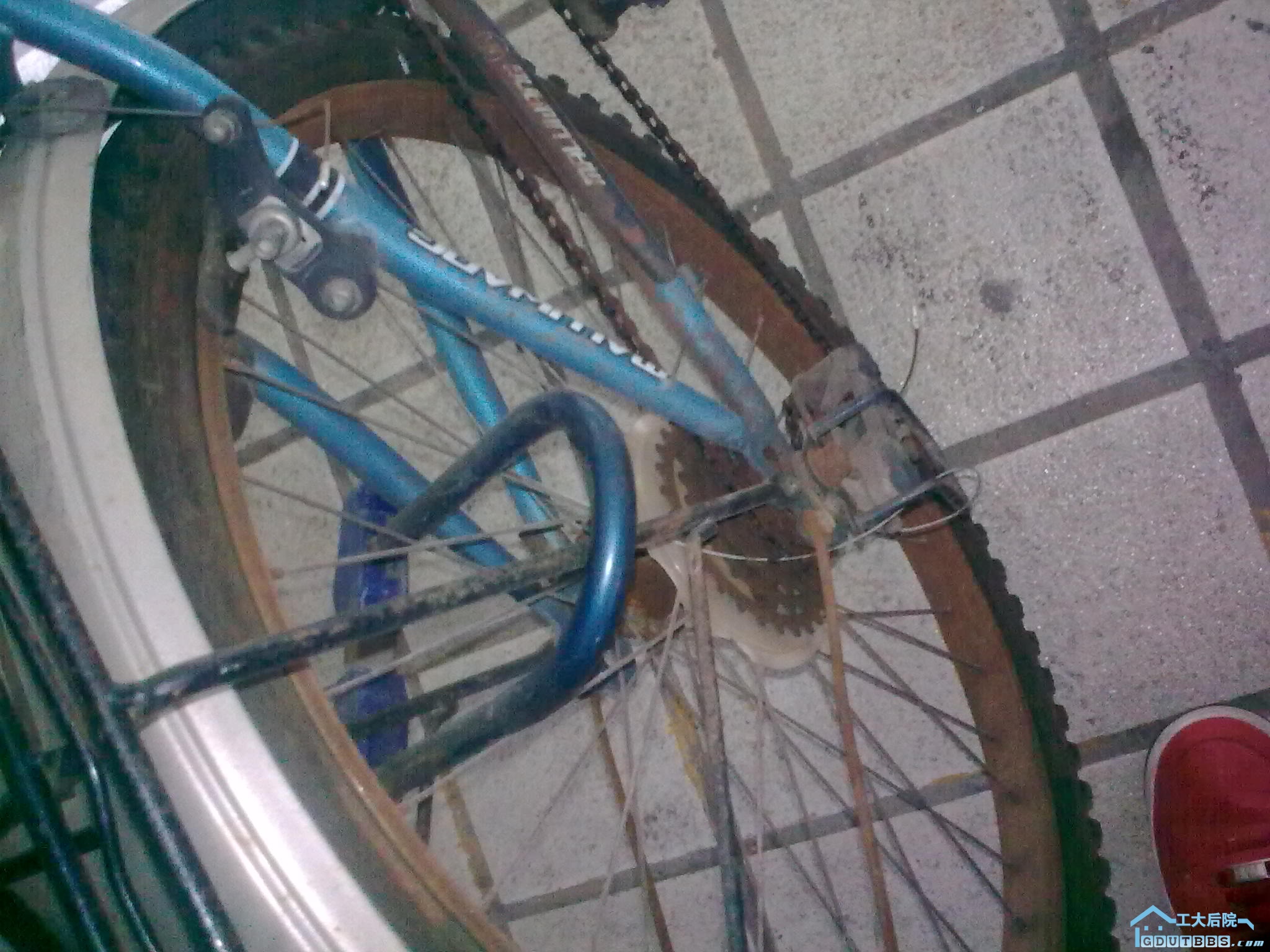 20110121_004.jpg