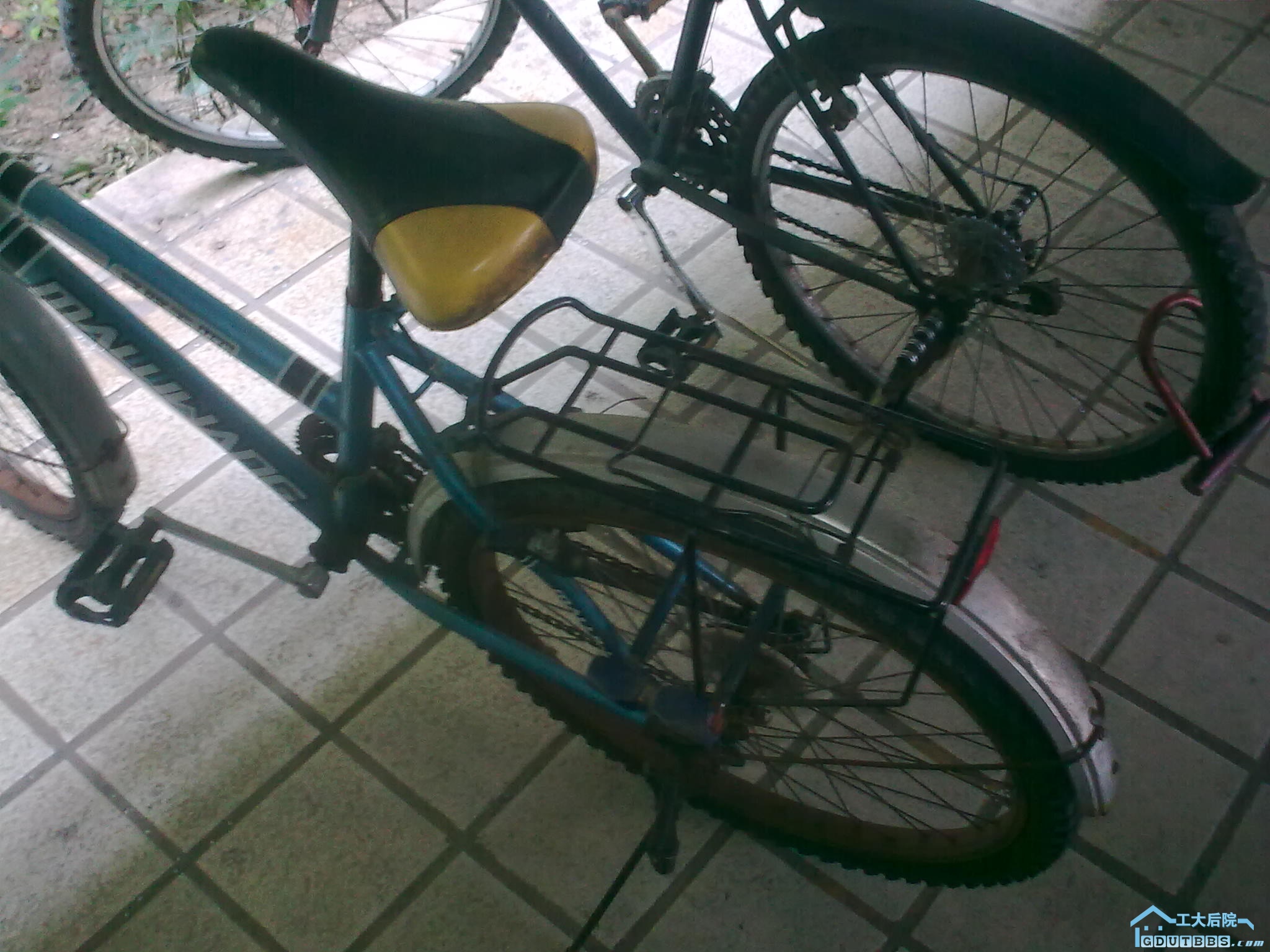 20110121_001.jpg