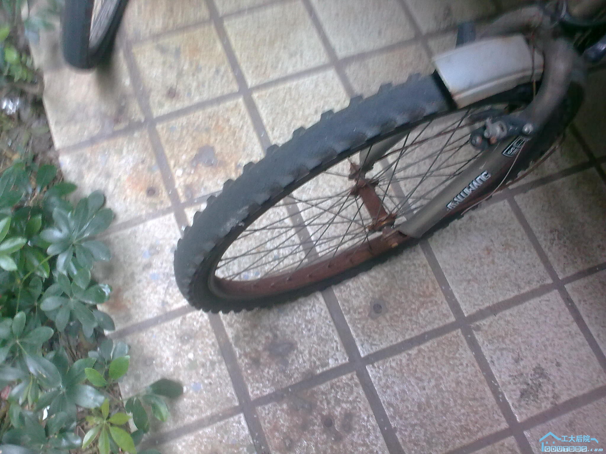 20110121_002.jpg