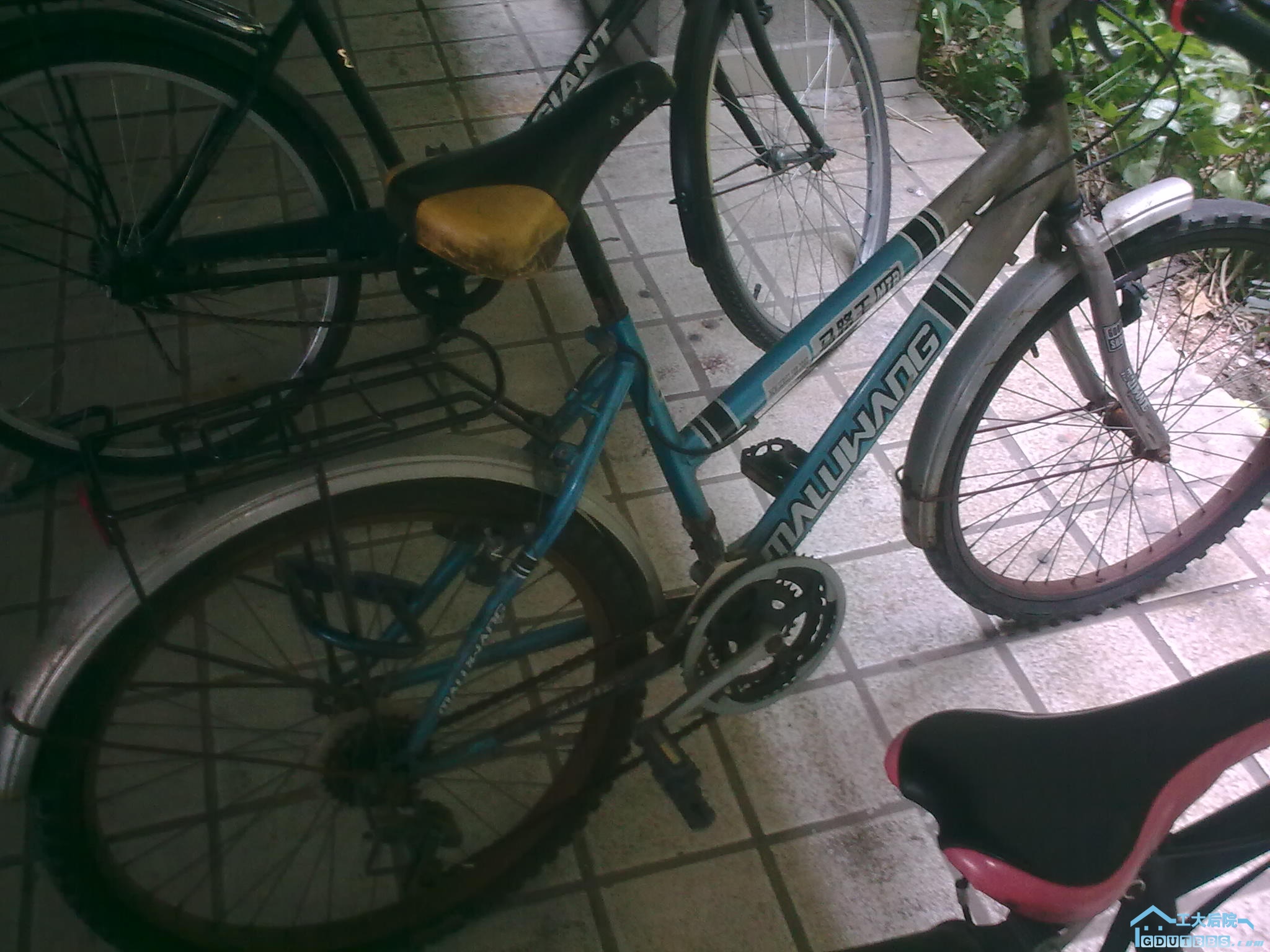 20110121.jpg