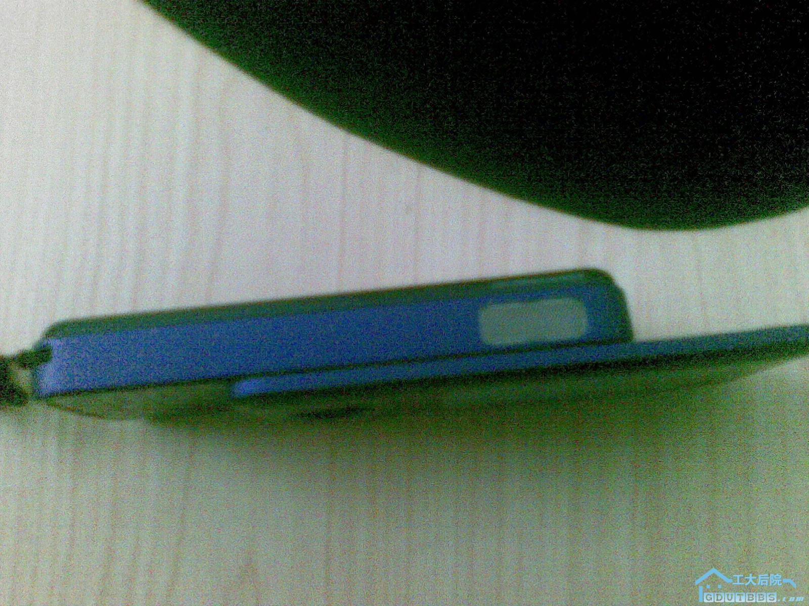 20110213_004.jpg