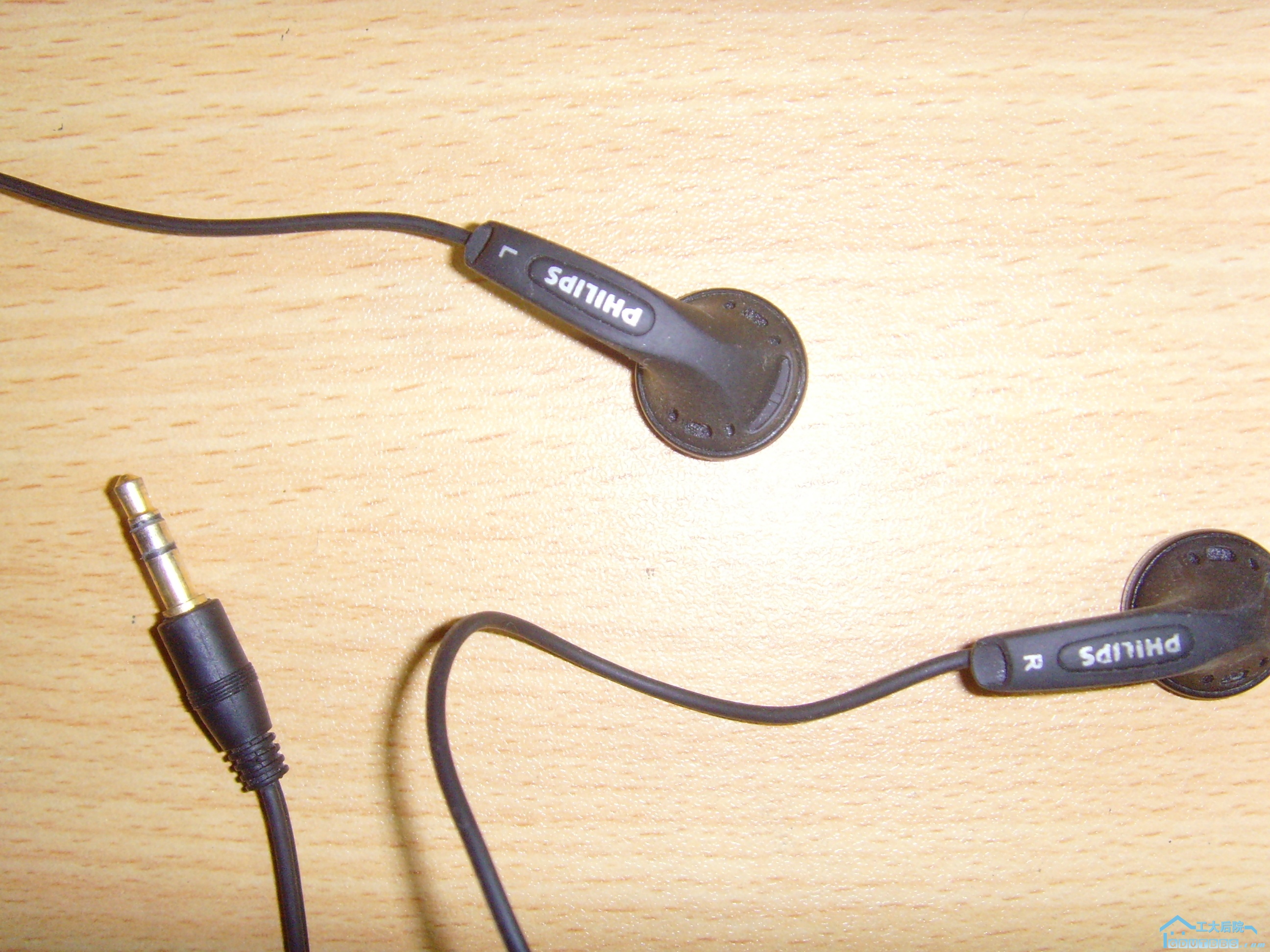 SNV33879.JPG