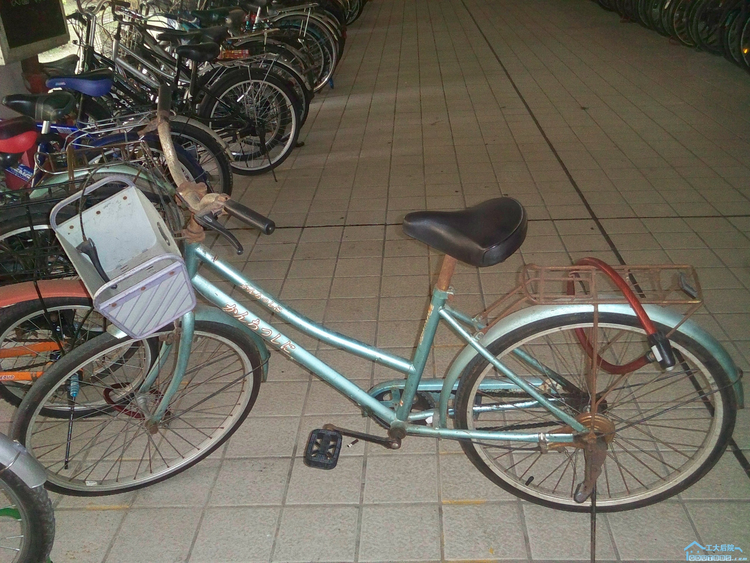 kdk_0488.jpg