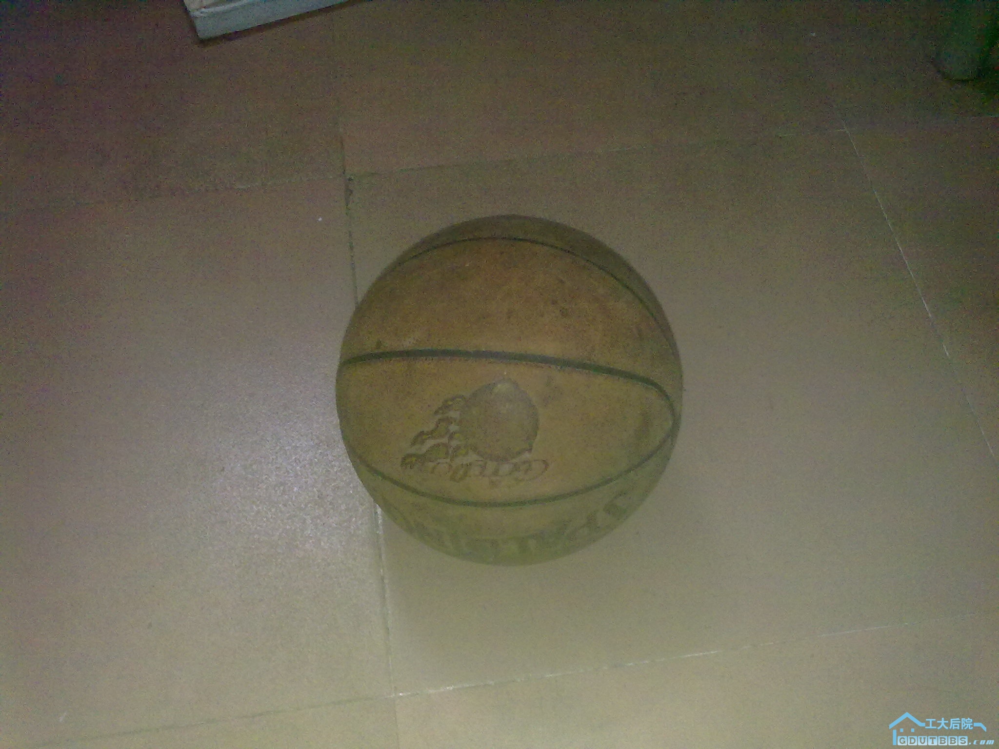 20110301018.jpg