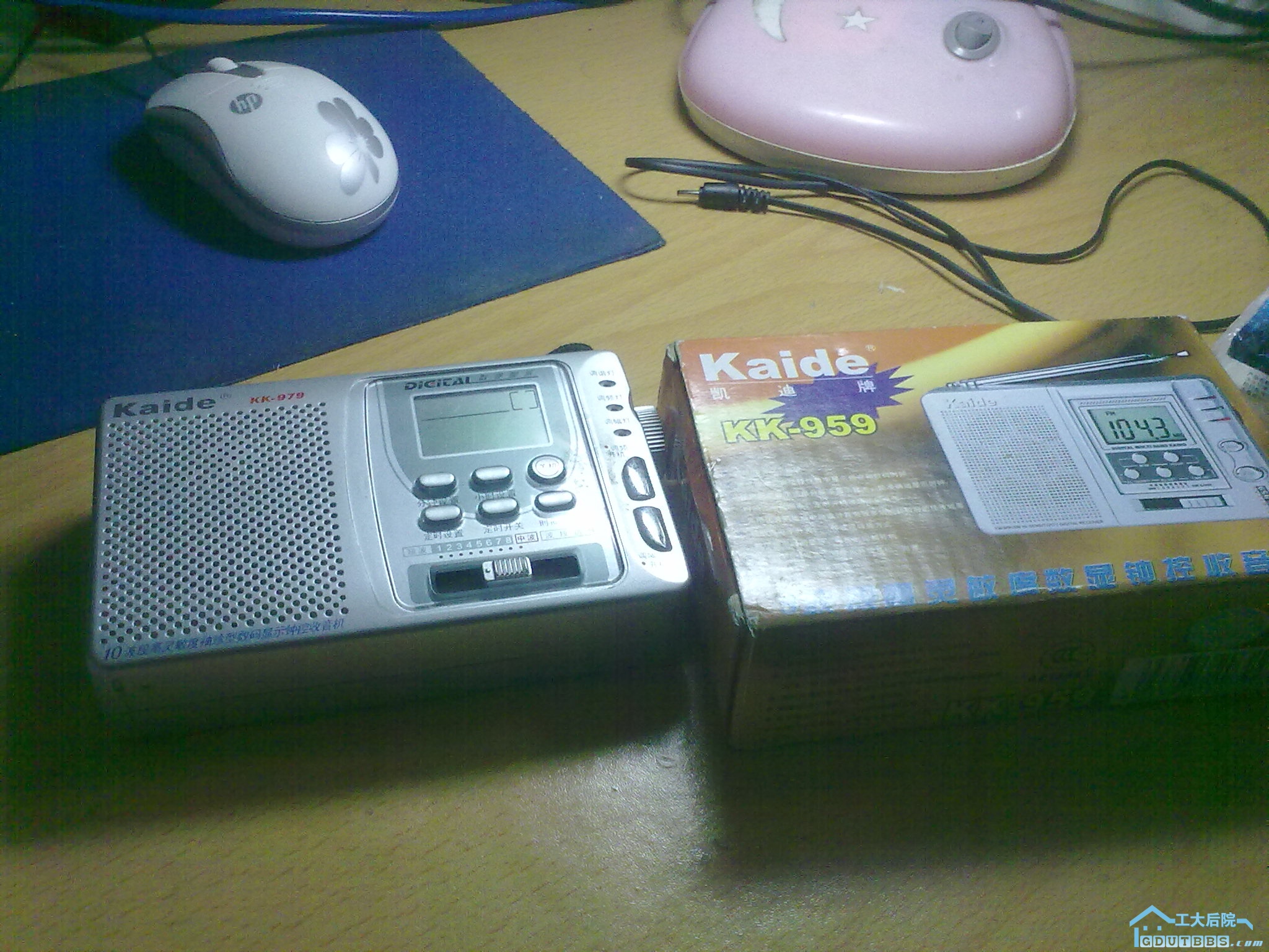 20110301019.jpg