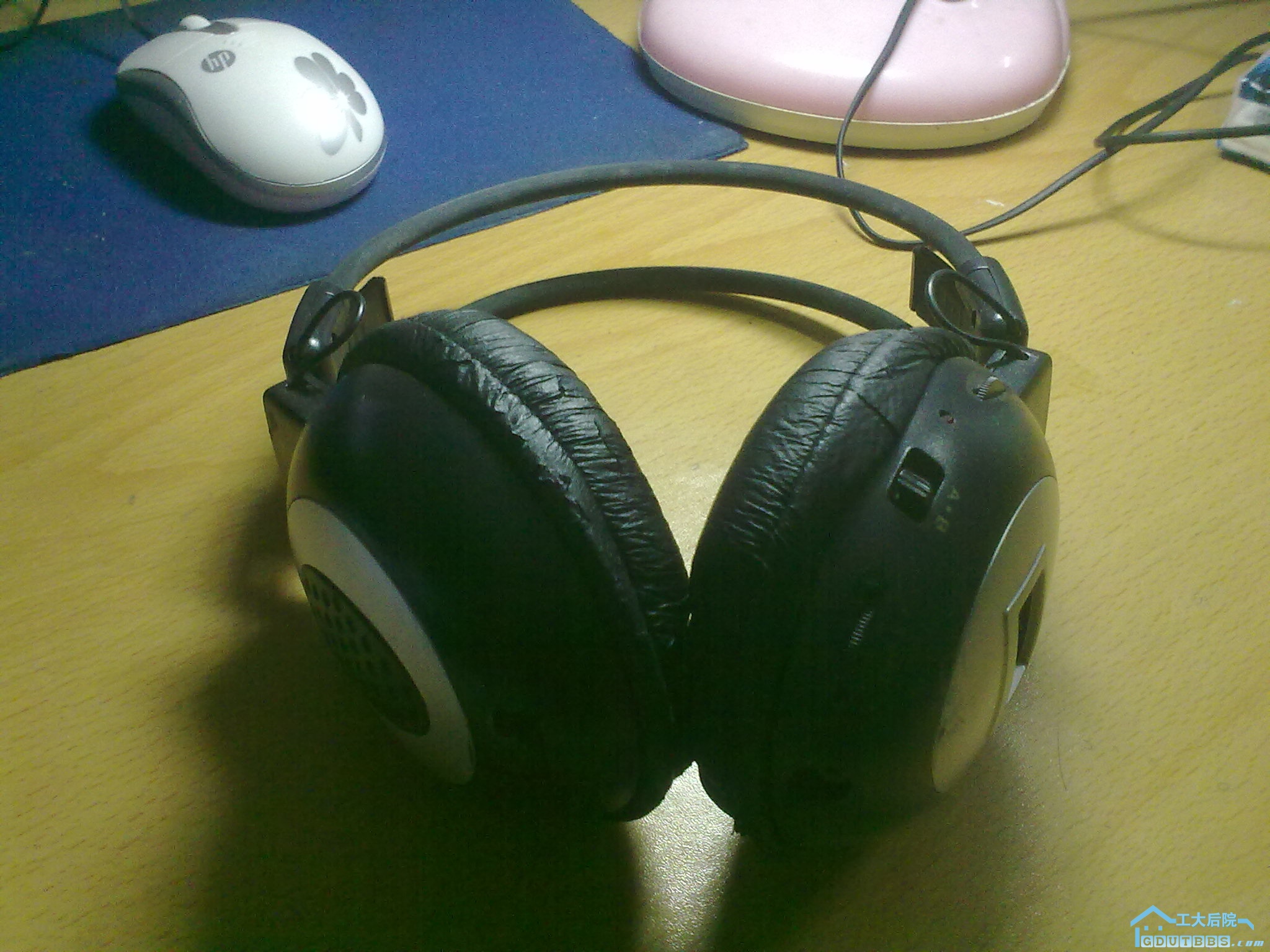 20110302025.jpg