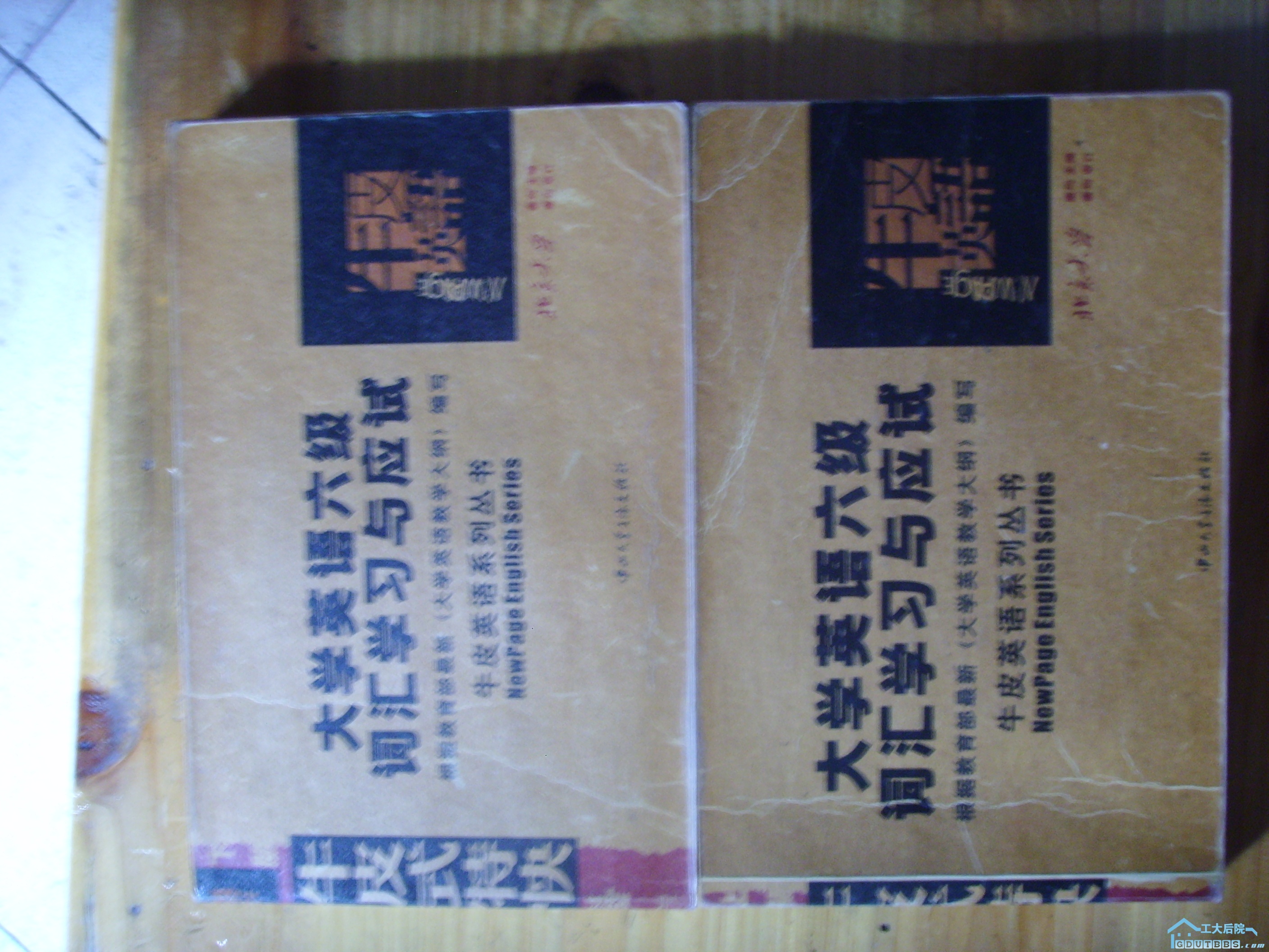 SSL28775.JPG