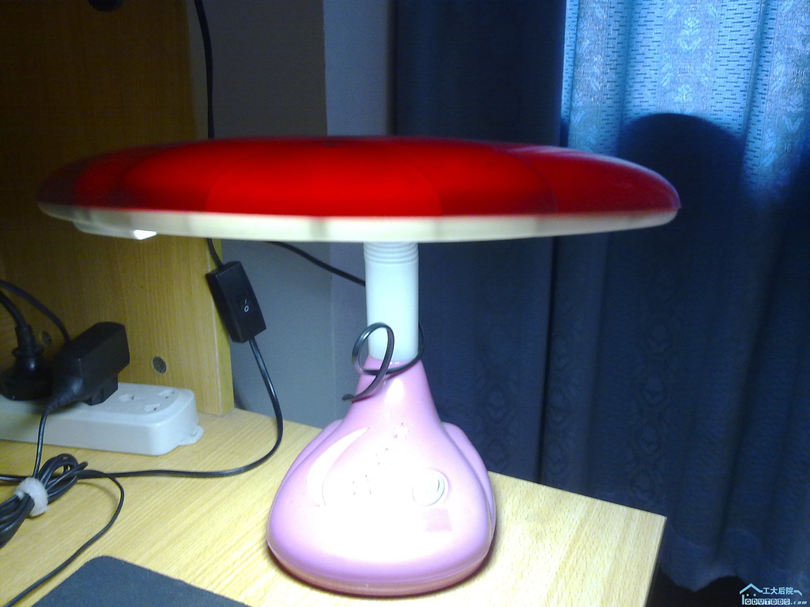 20110305008.jpg