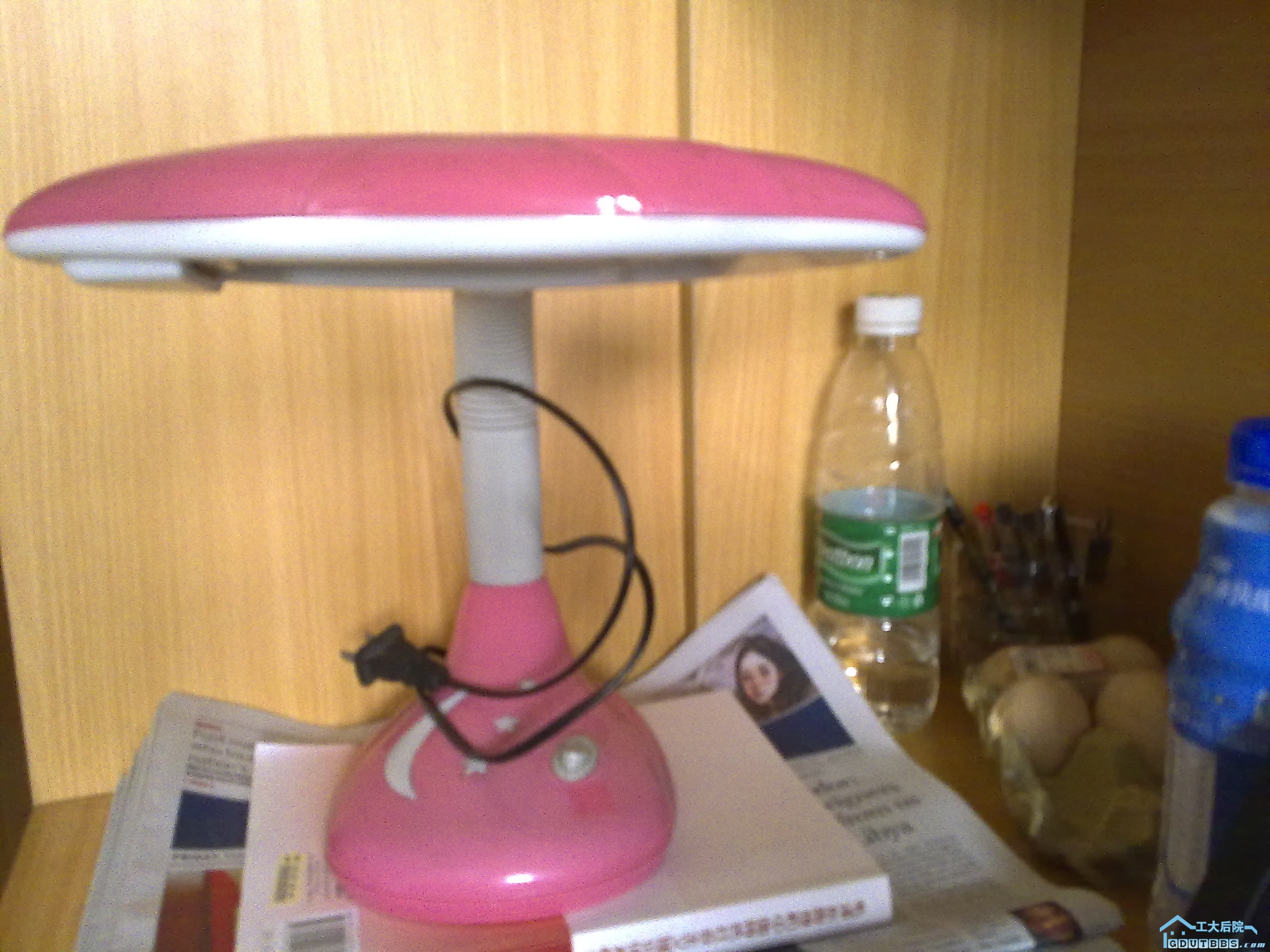 20110305005.jpg