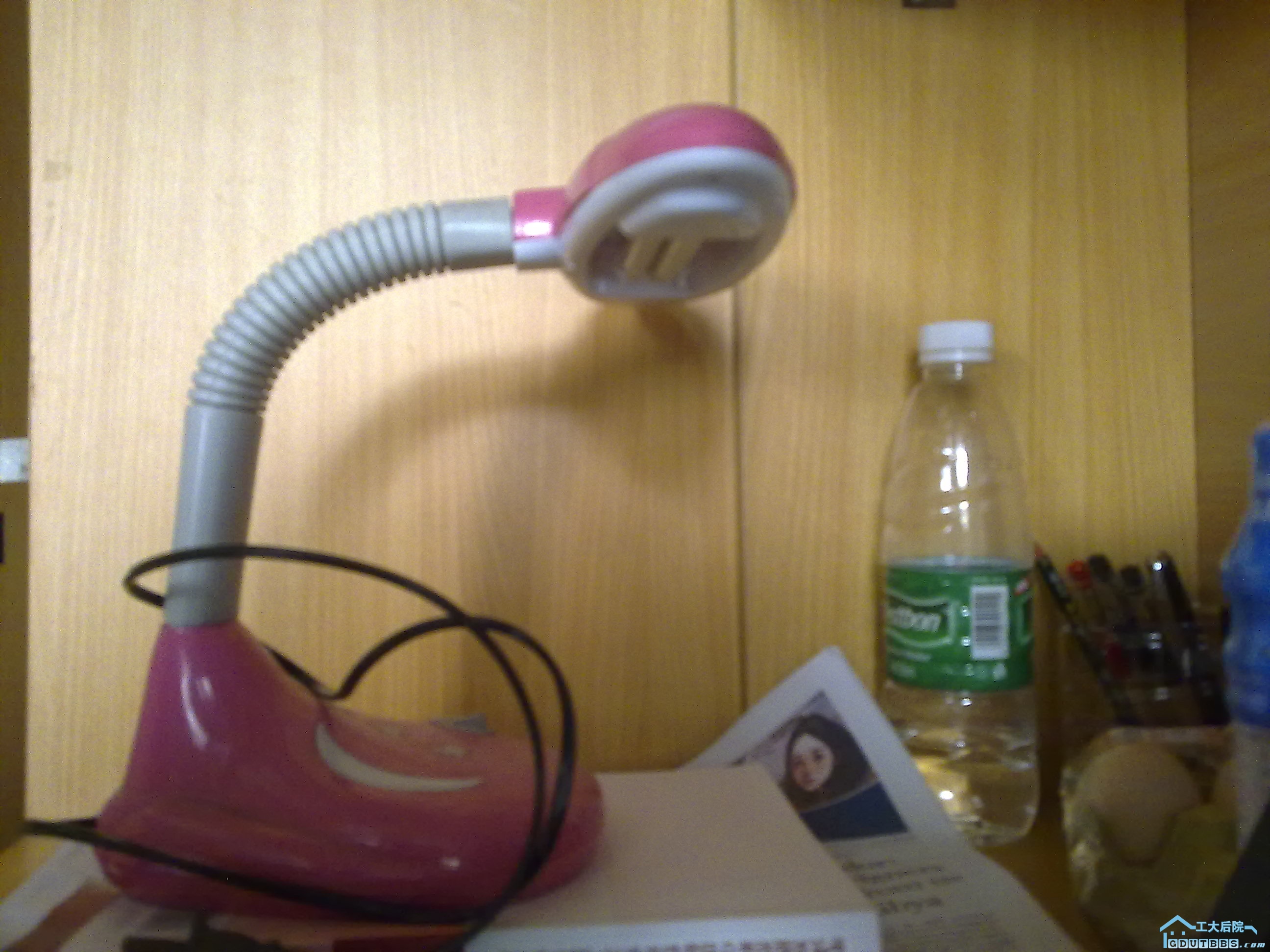 20110305006.jpg