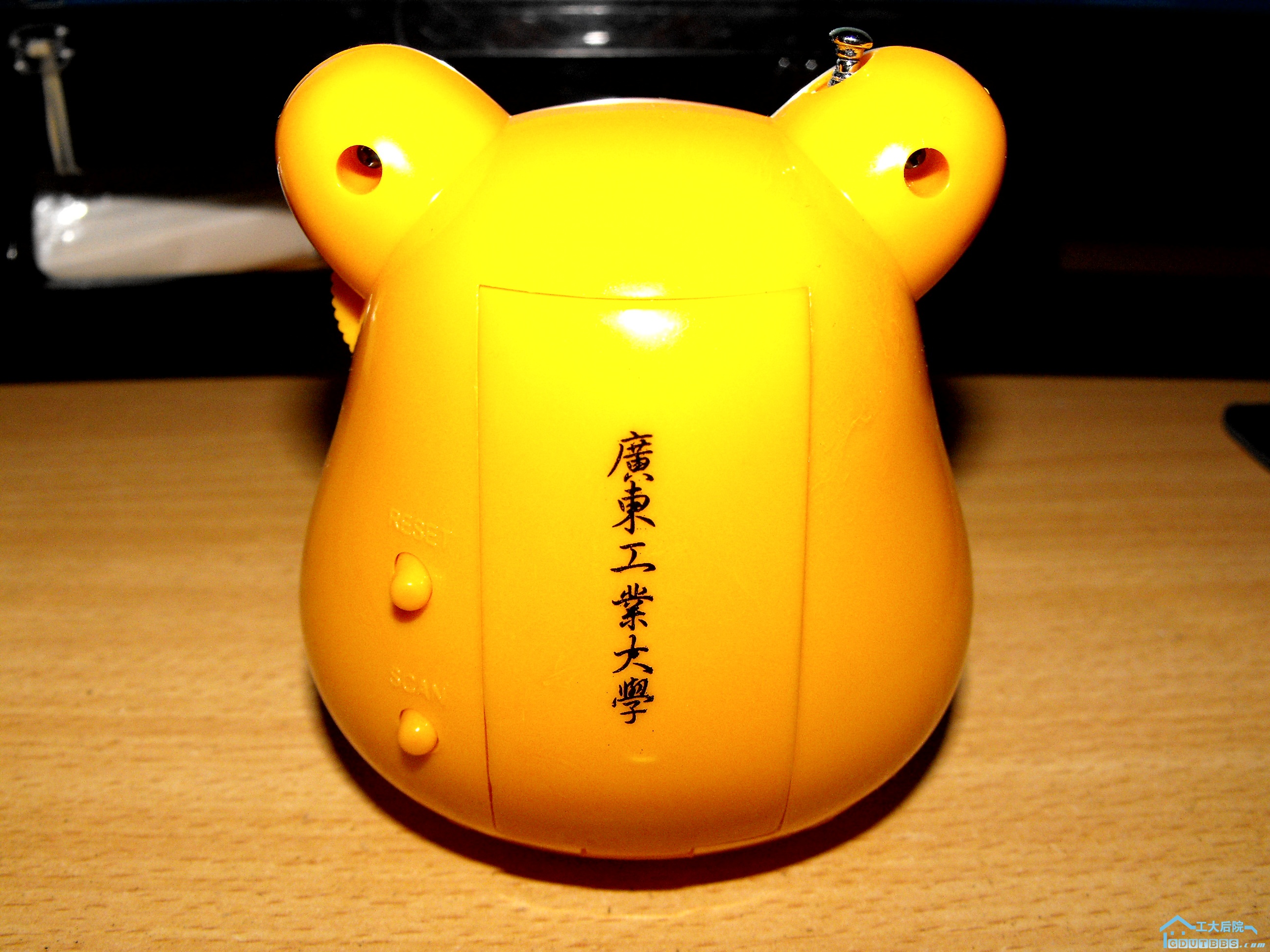 DSCF7273.JPG