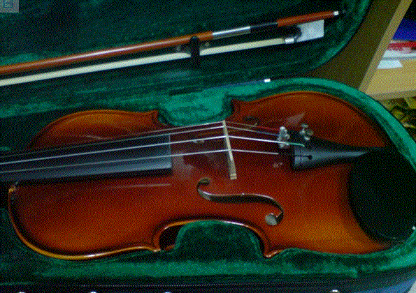 小提琴1.GIF