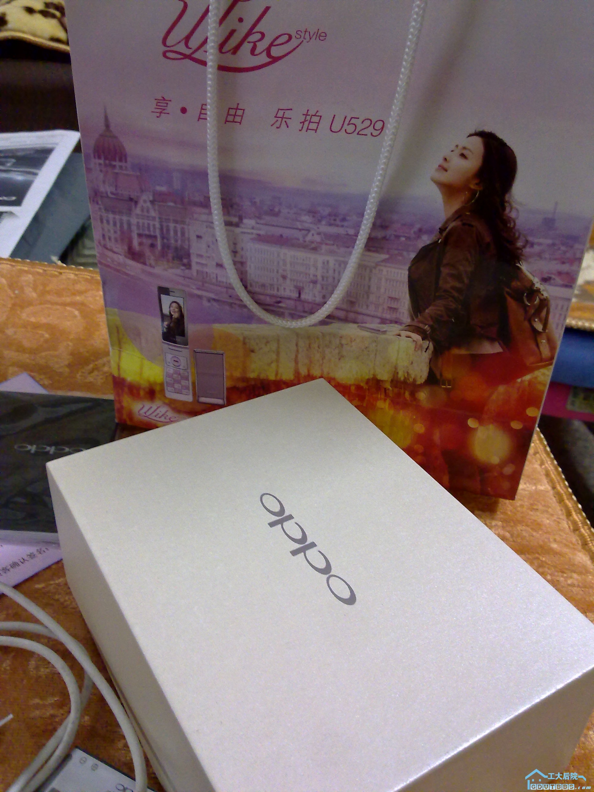 20110306079.jpg