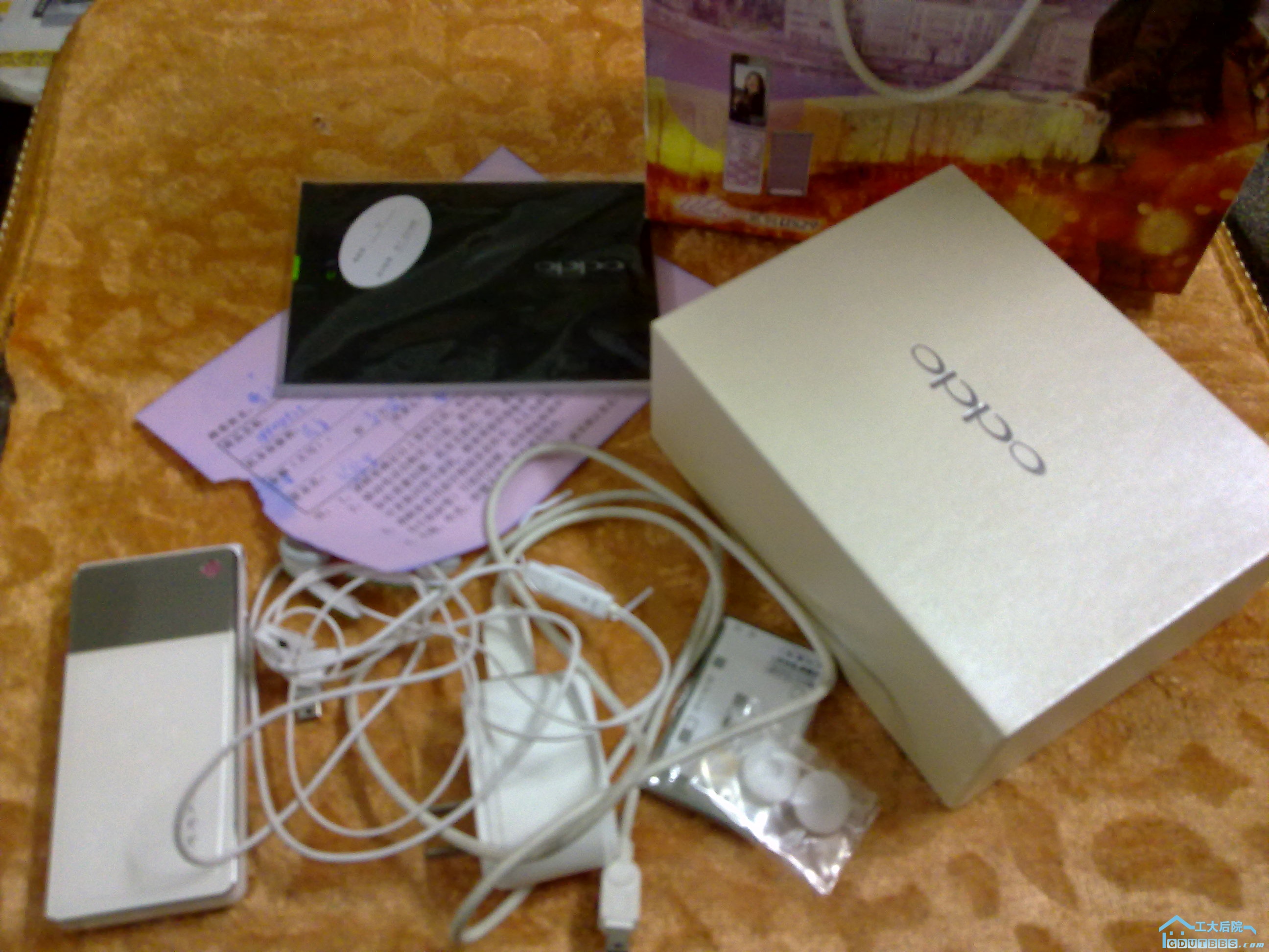20110306080.jpg