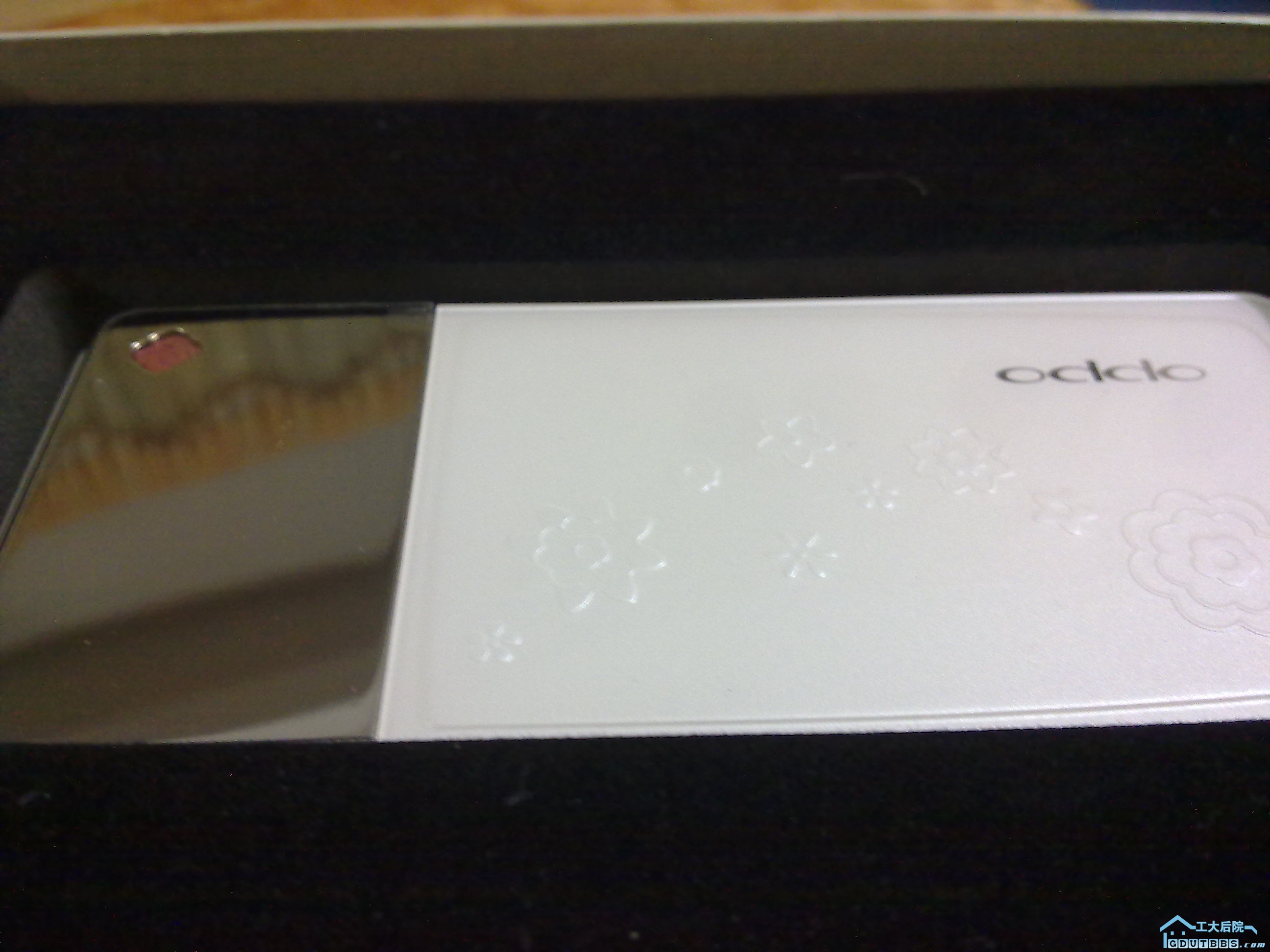 20110306075.jpg