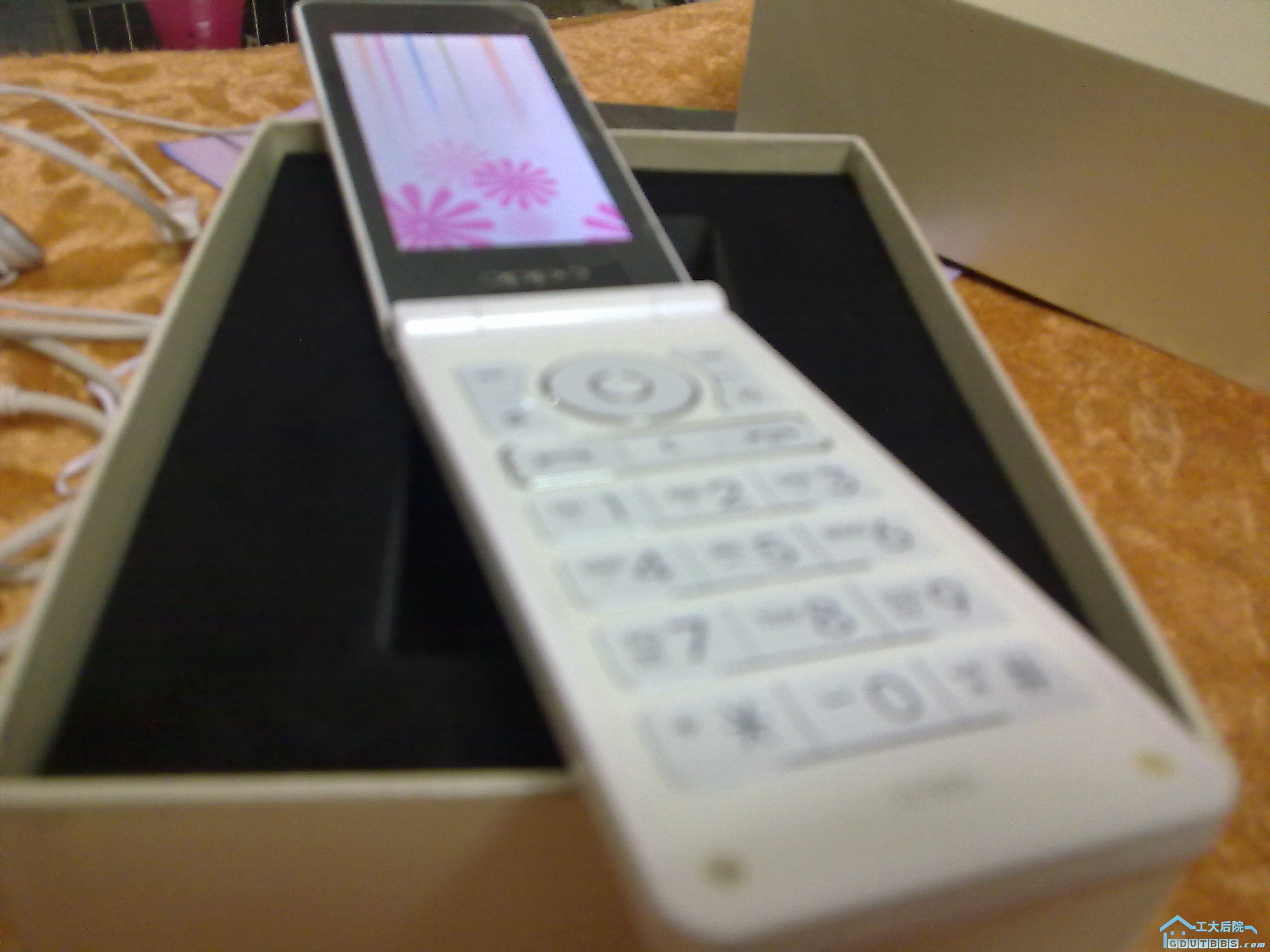 20110306077.jpg