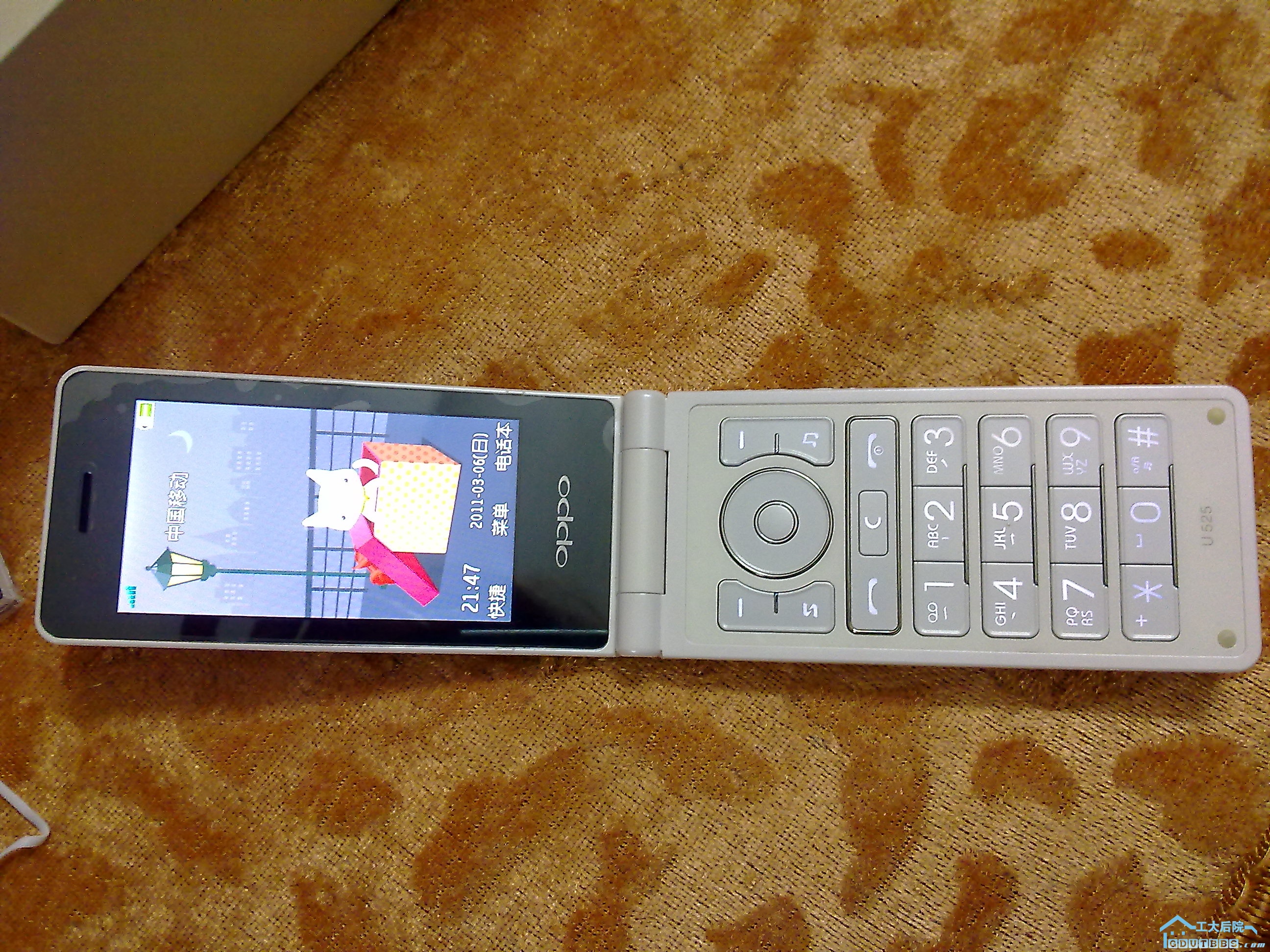20110306068.jpg