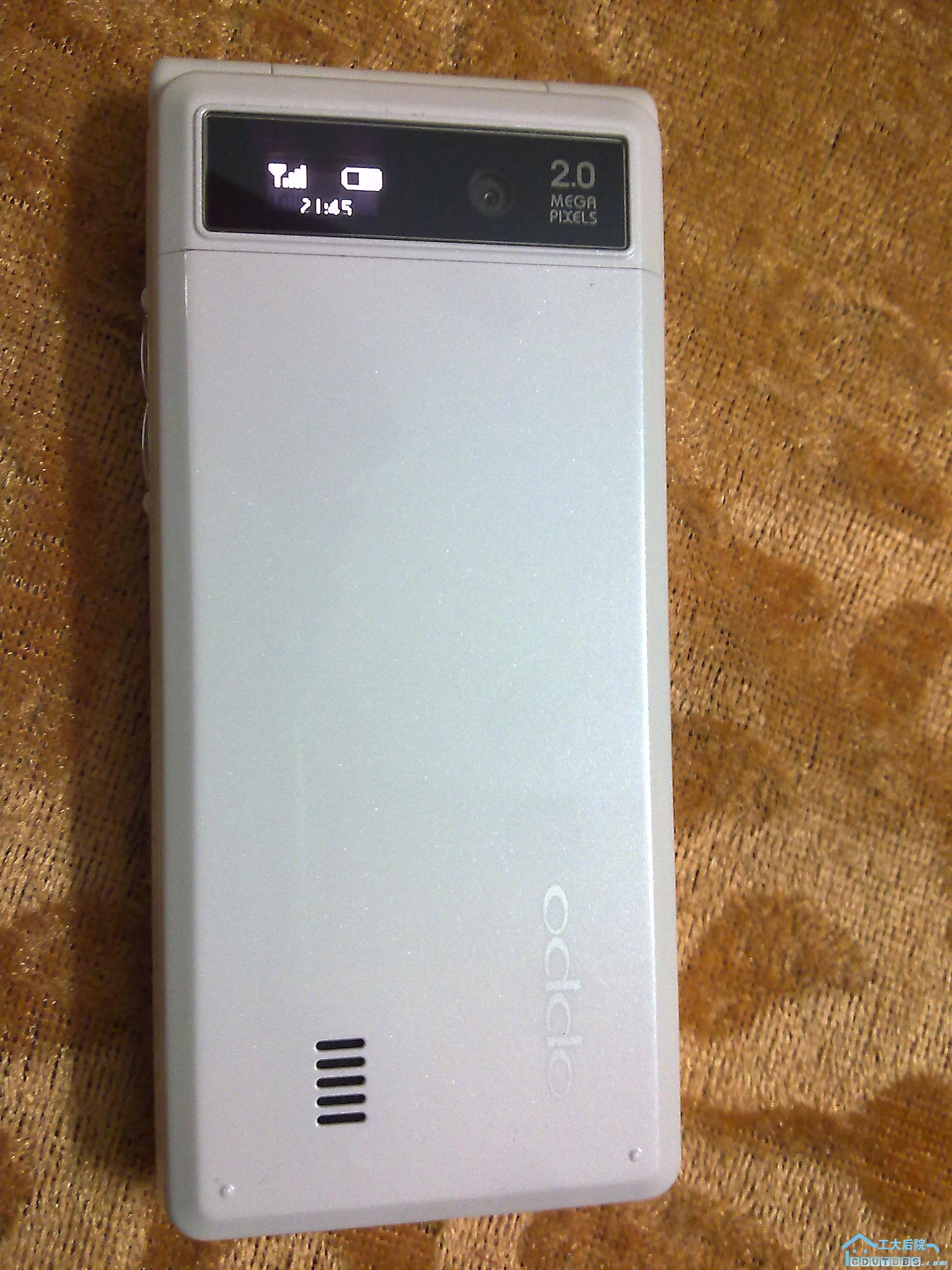 20110306065.jpg