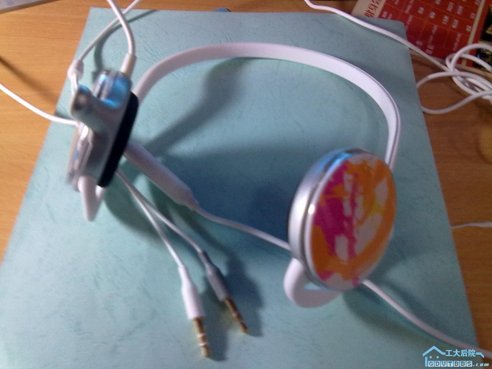 20110308796.jpg