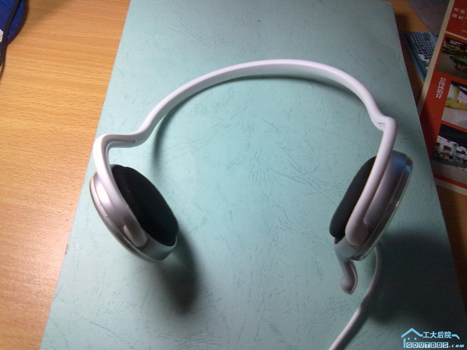 20110308794.jpg