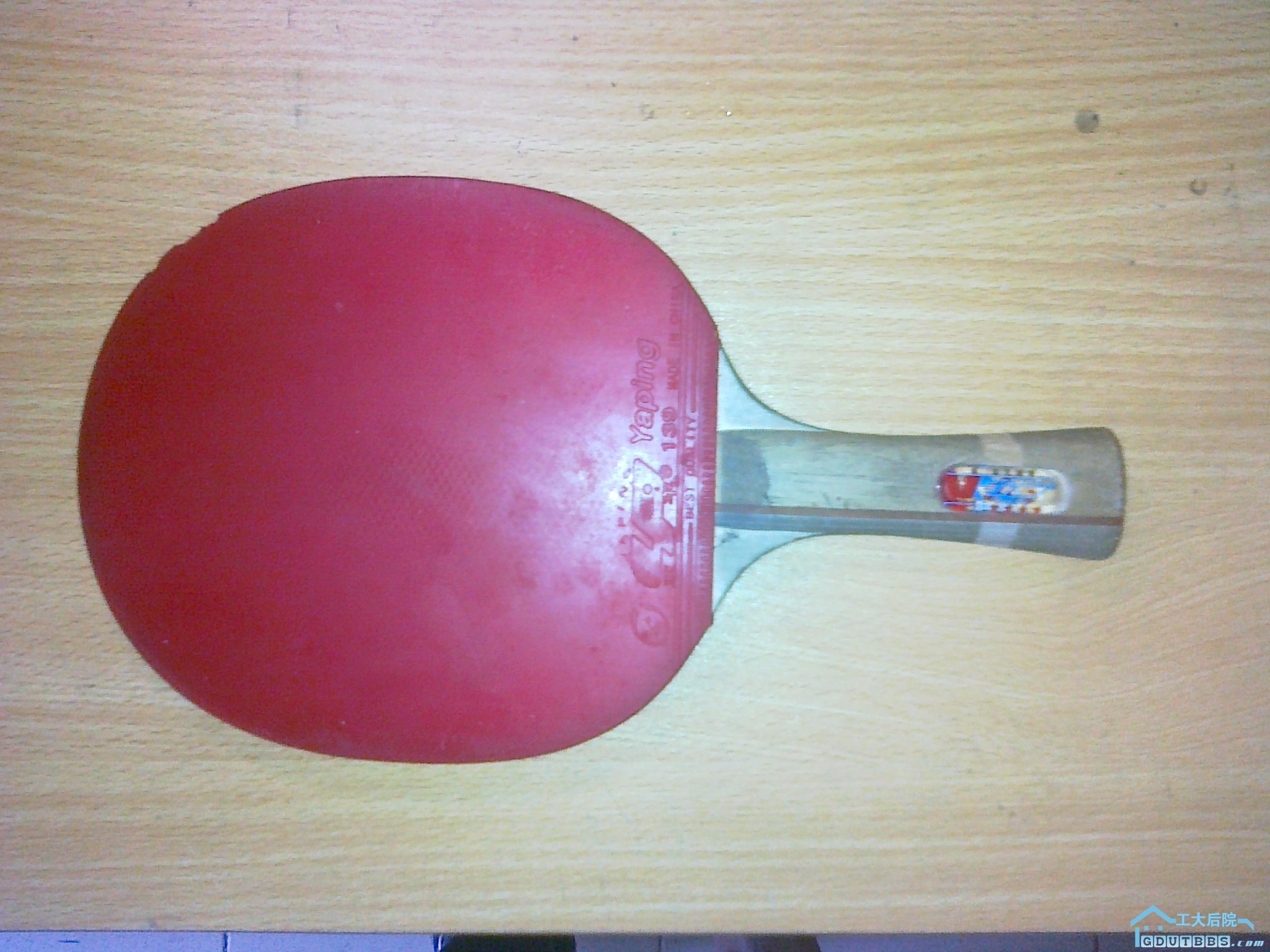 20110313037.jpg